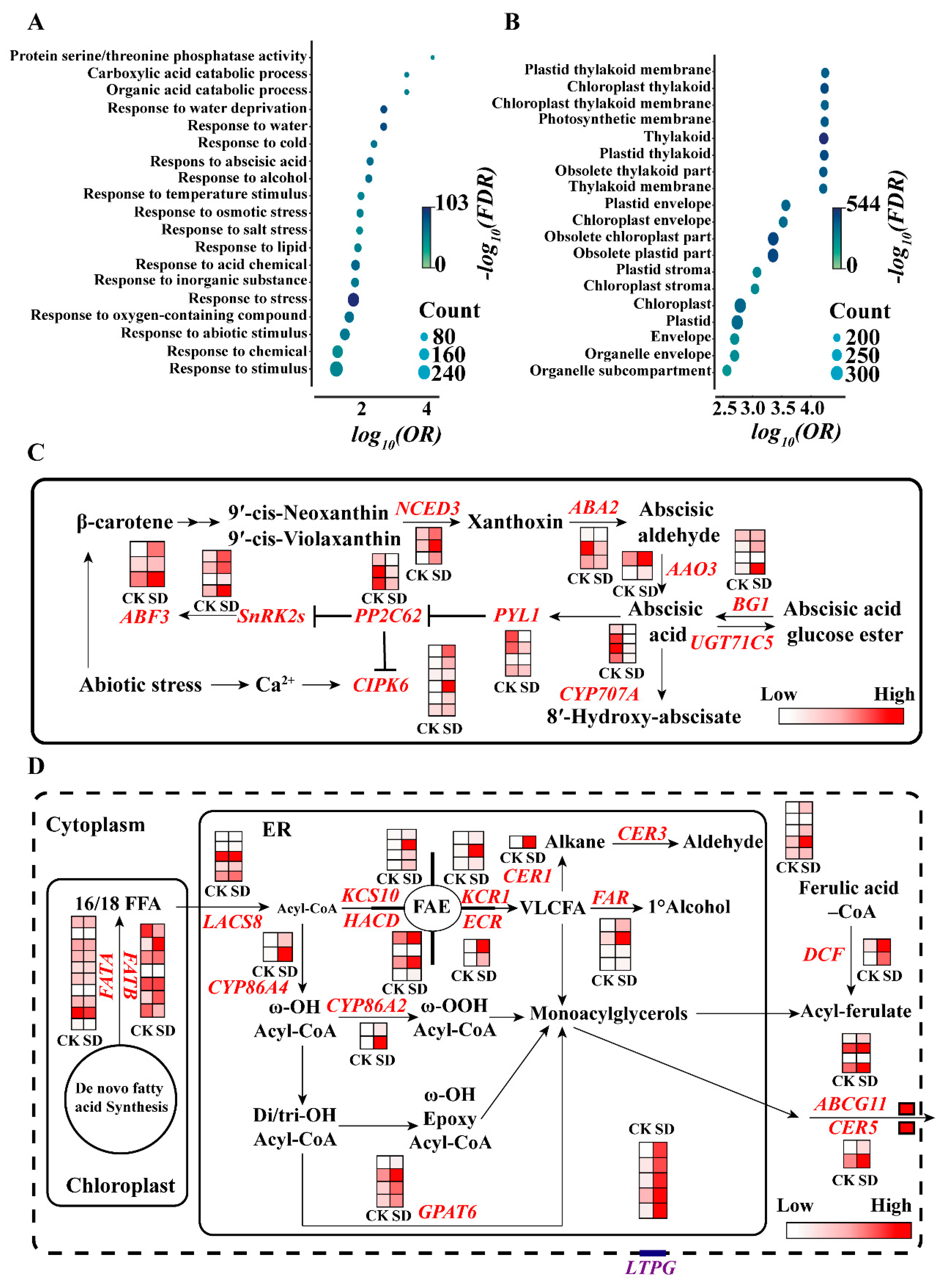 Ijms 23 08555 g004 550