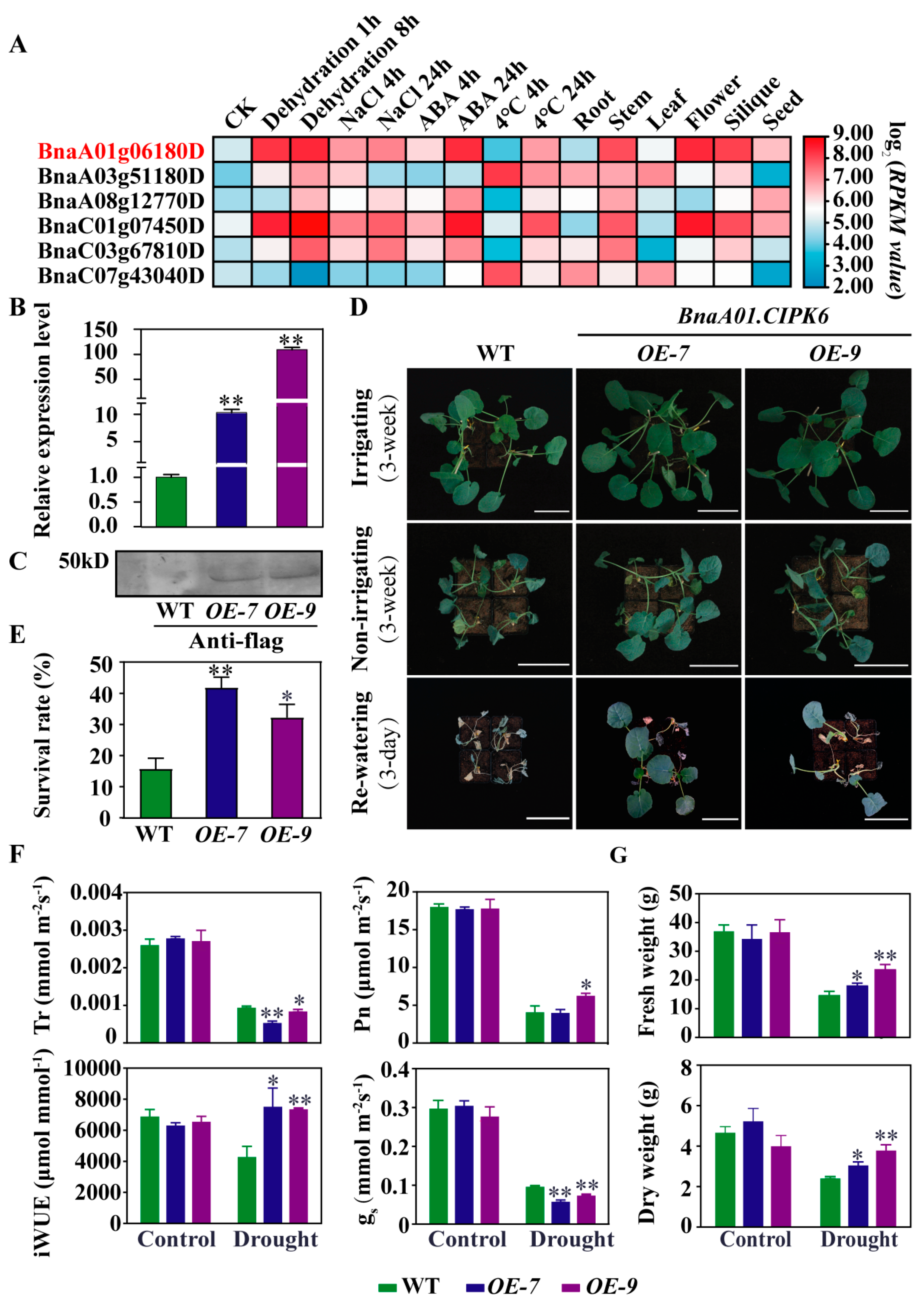 Ijms 23 08555 g005 550