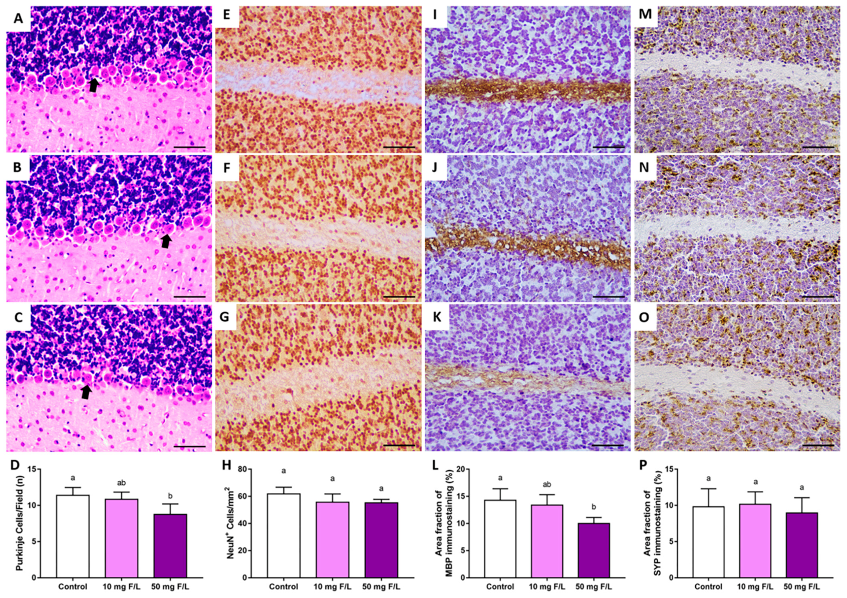 Ijms 23 08556 g002 550