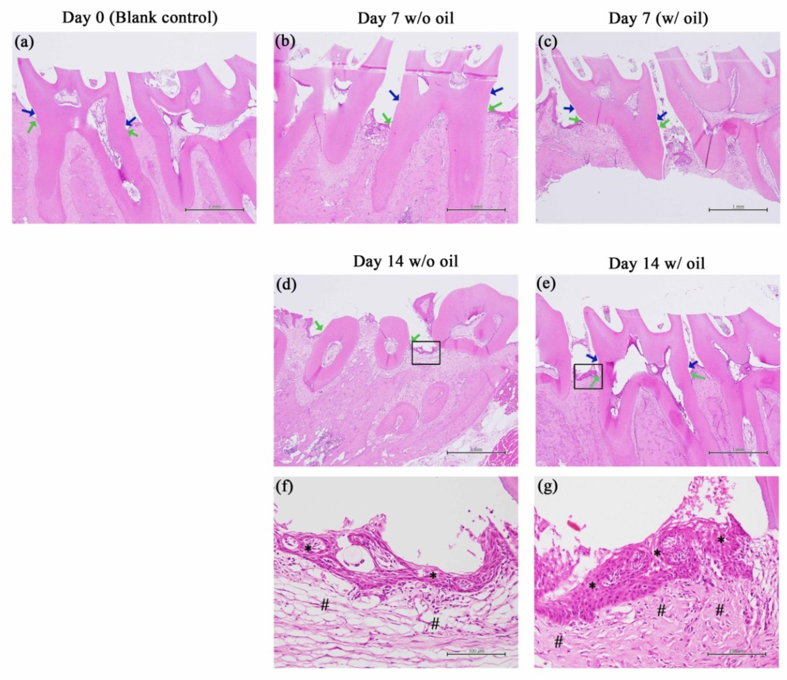 Ijms 23 08560 g003 550