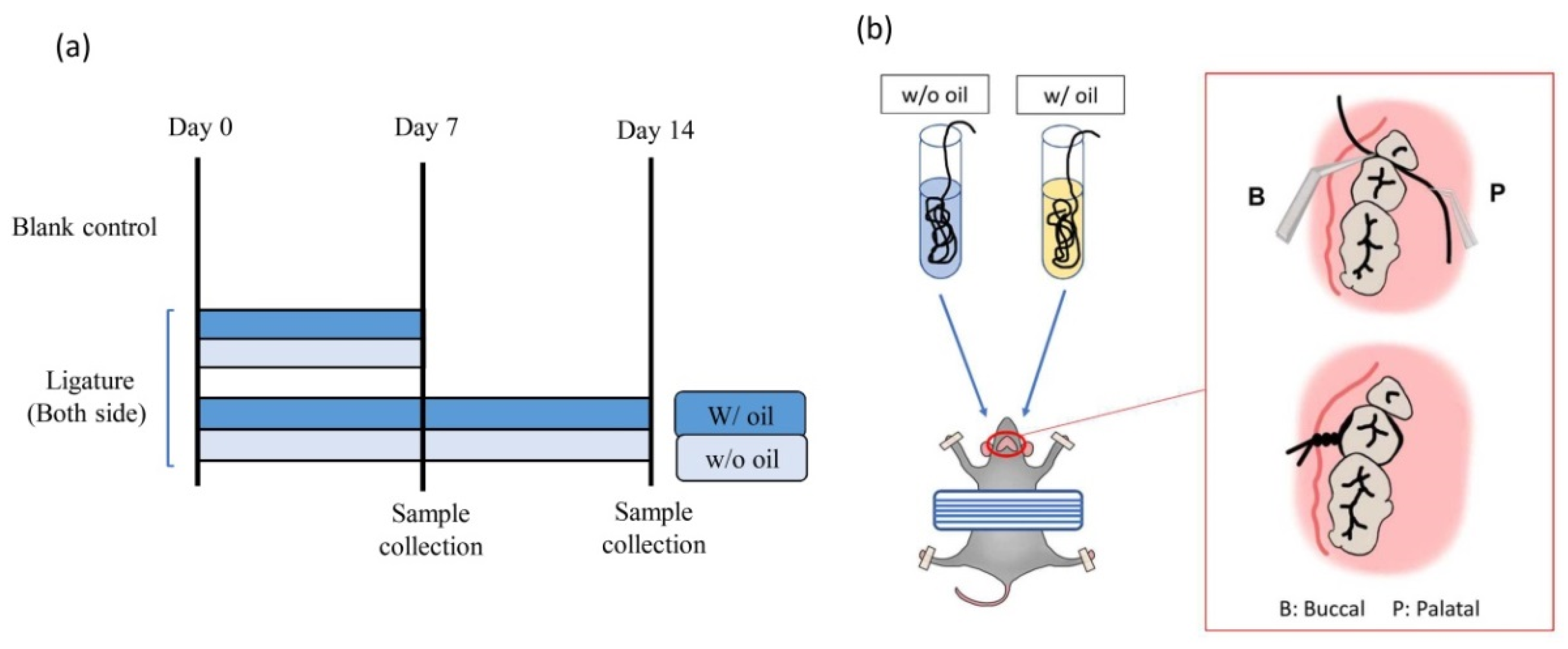 Ijms 23 08560 g009 550
