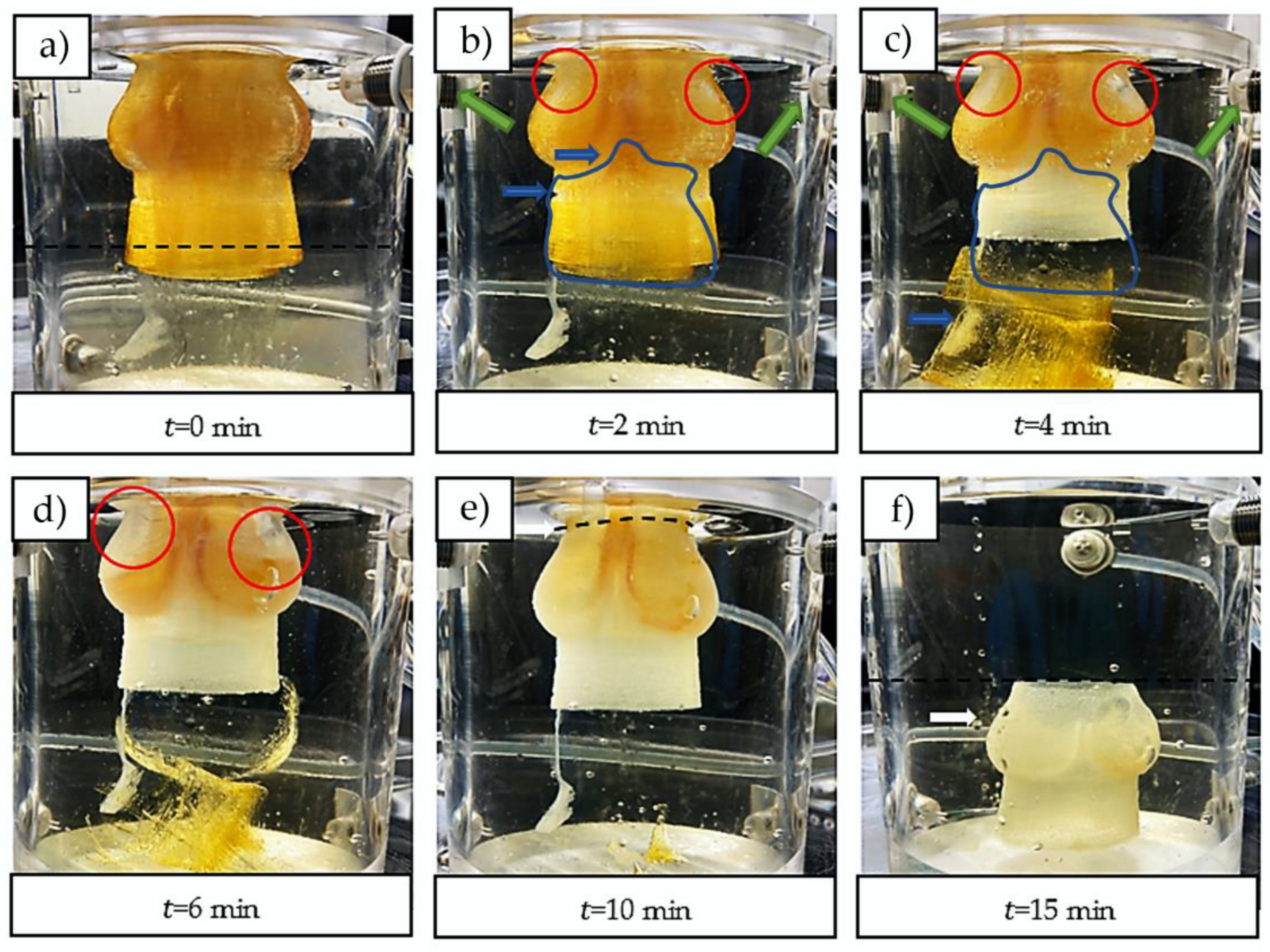 Ijms 23 08567 g003 Ijms 23 08567 g003