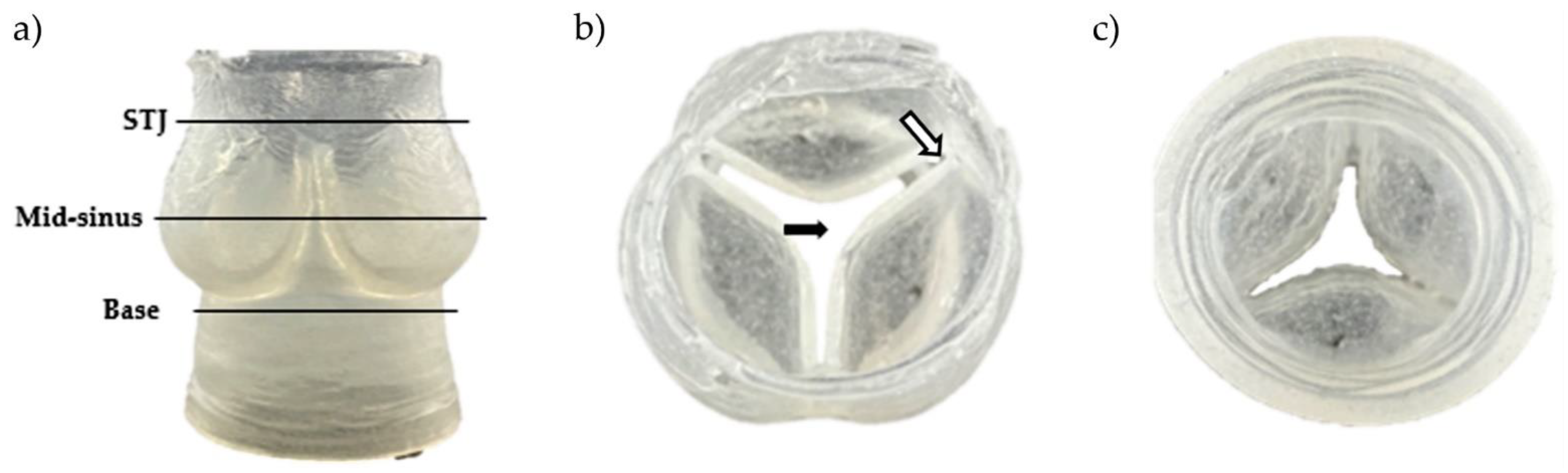 Ijms 23 08567 g004 Ijms 23 08567 g004