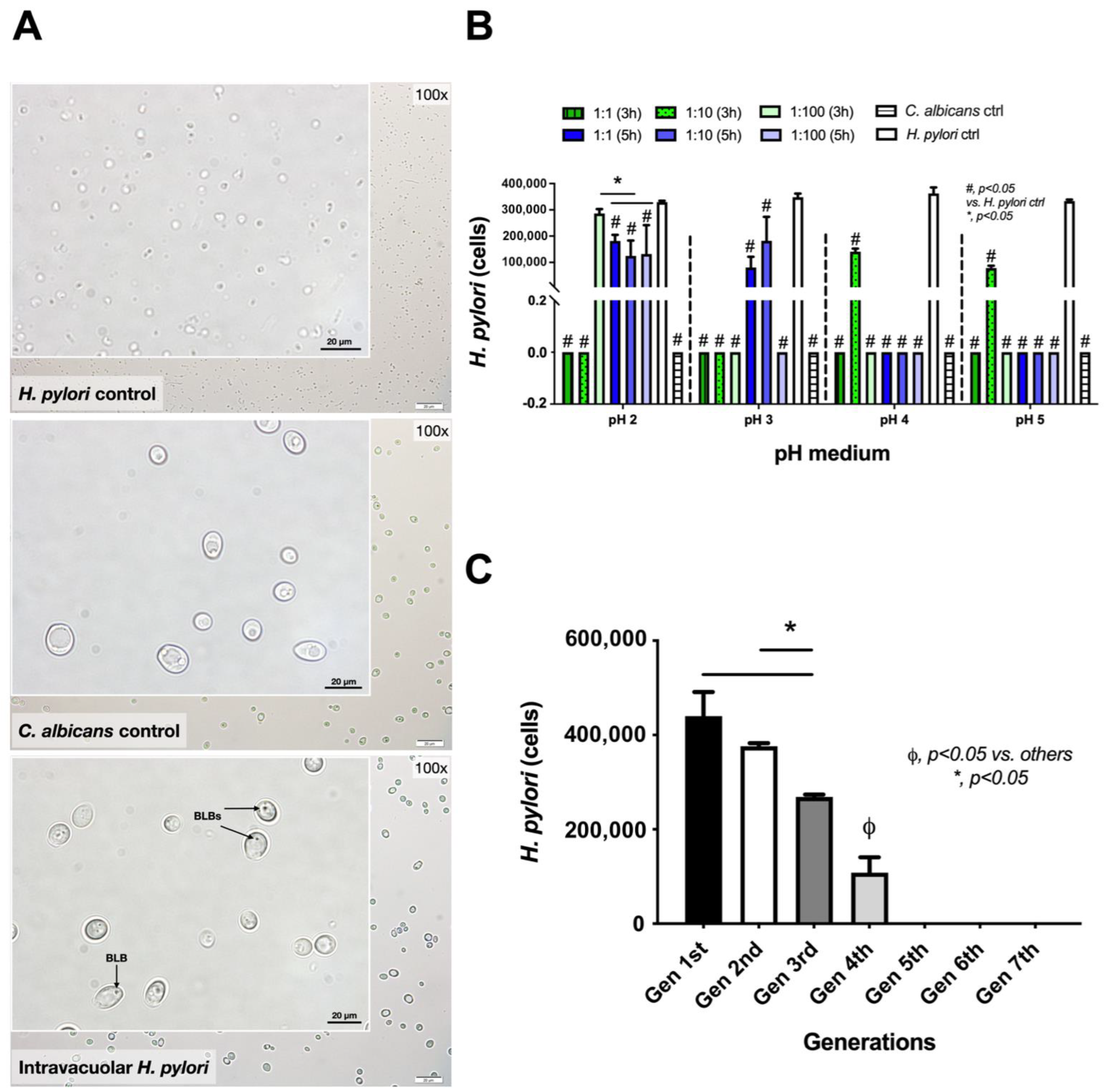Ijms 23 08568 g002 550