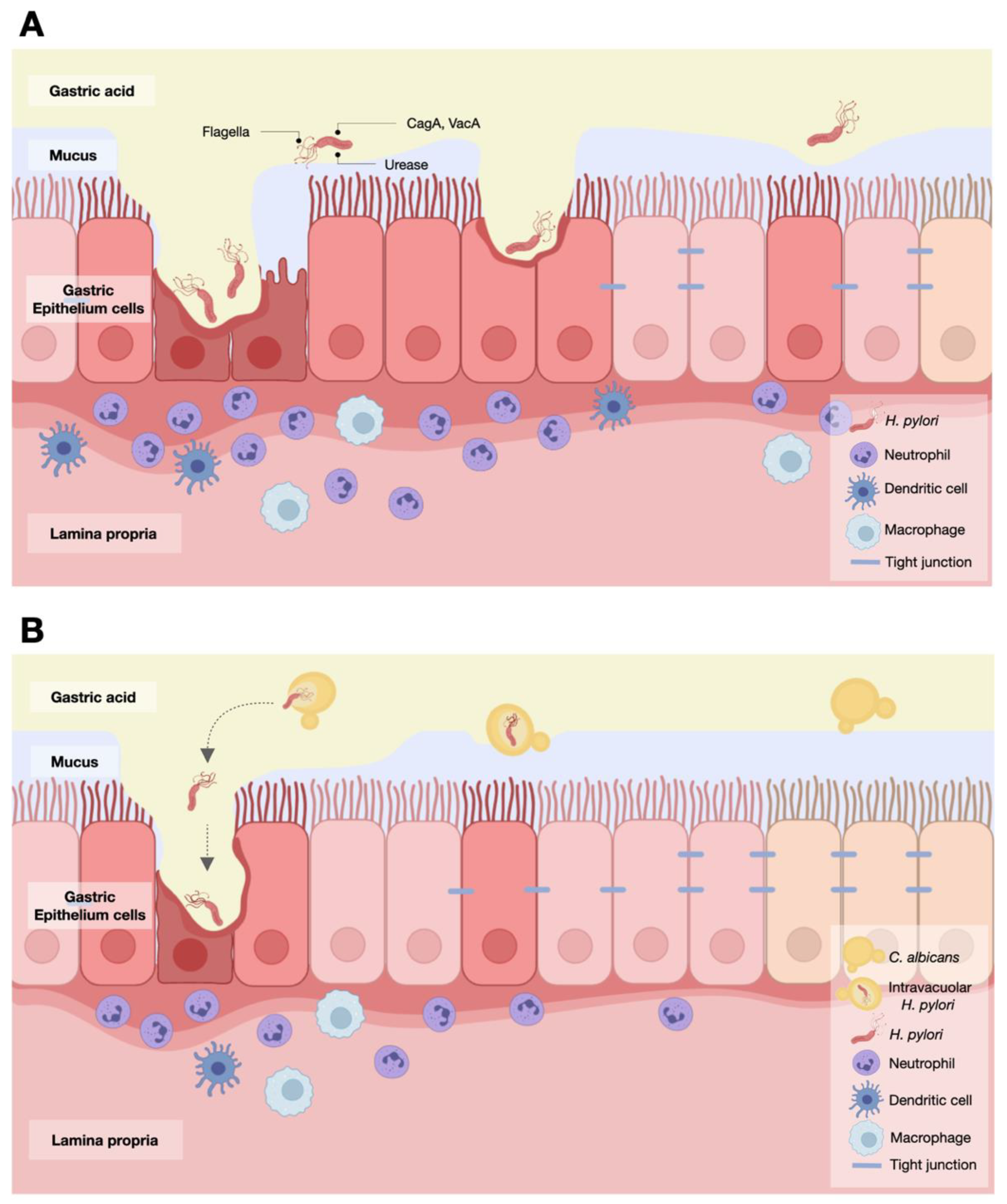 Ijms 23 08568 g008 550