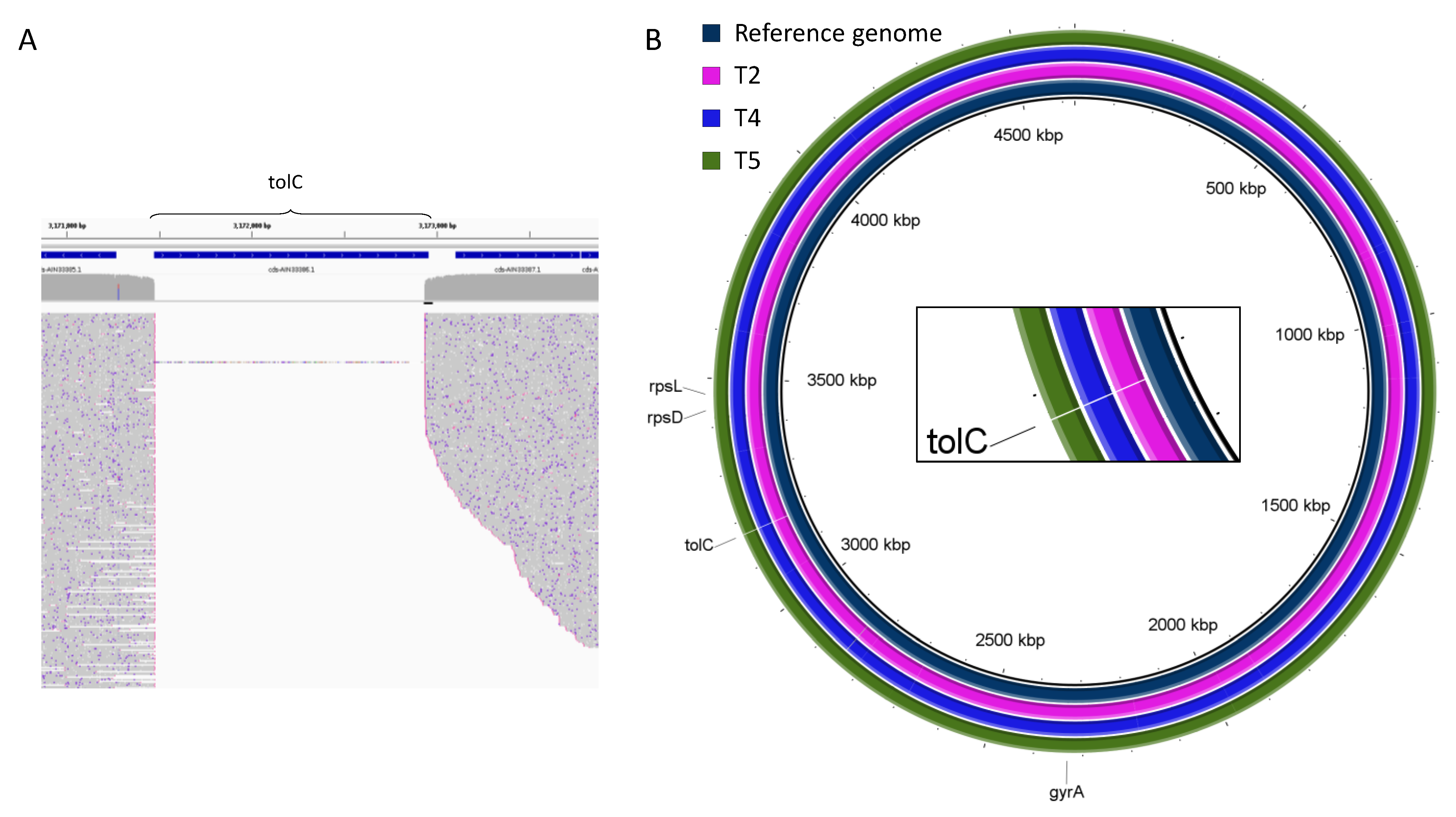 Ijms 23 08569 g002 550