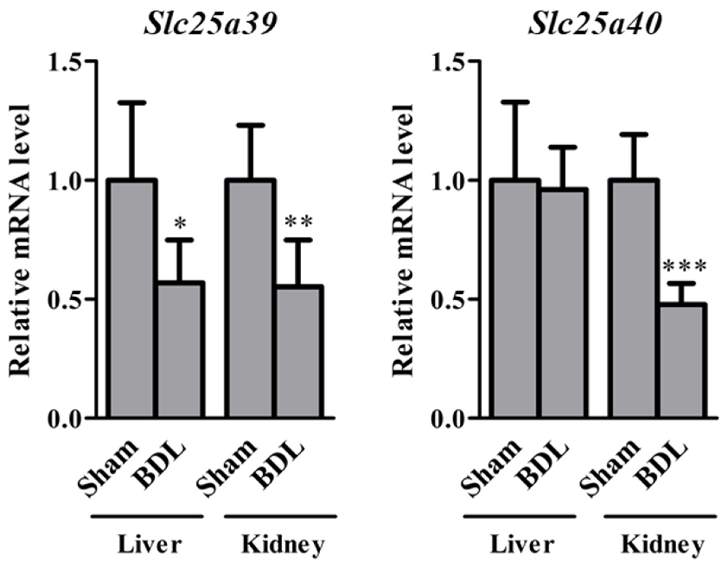 Ijms 23 08573 g001 550