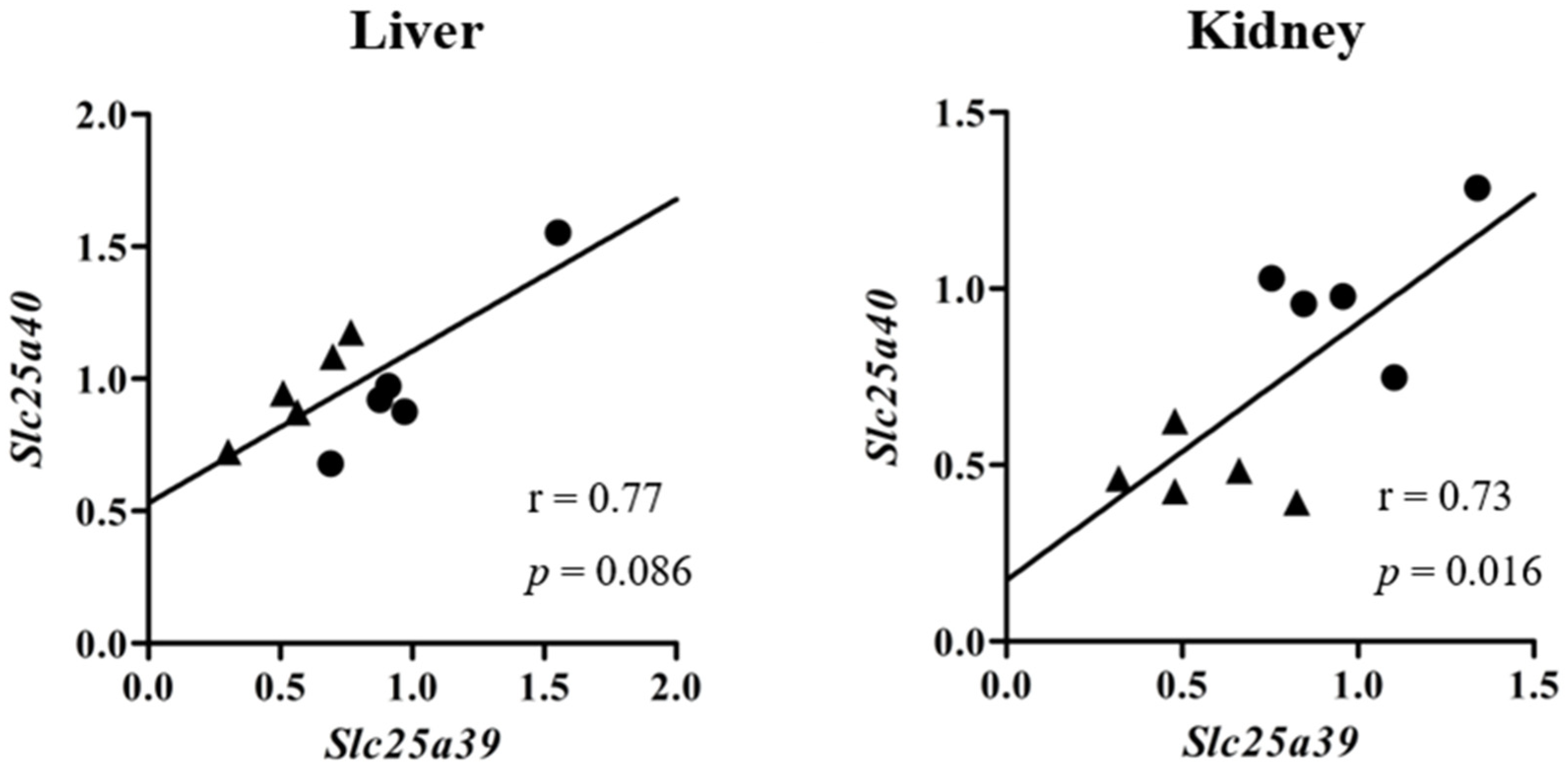 Ijms 23 08573 g002 550