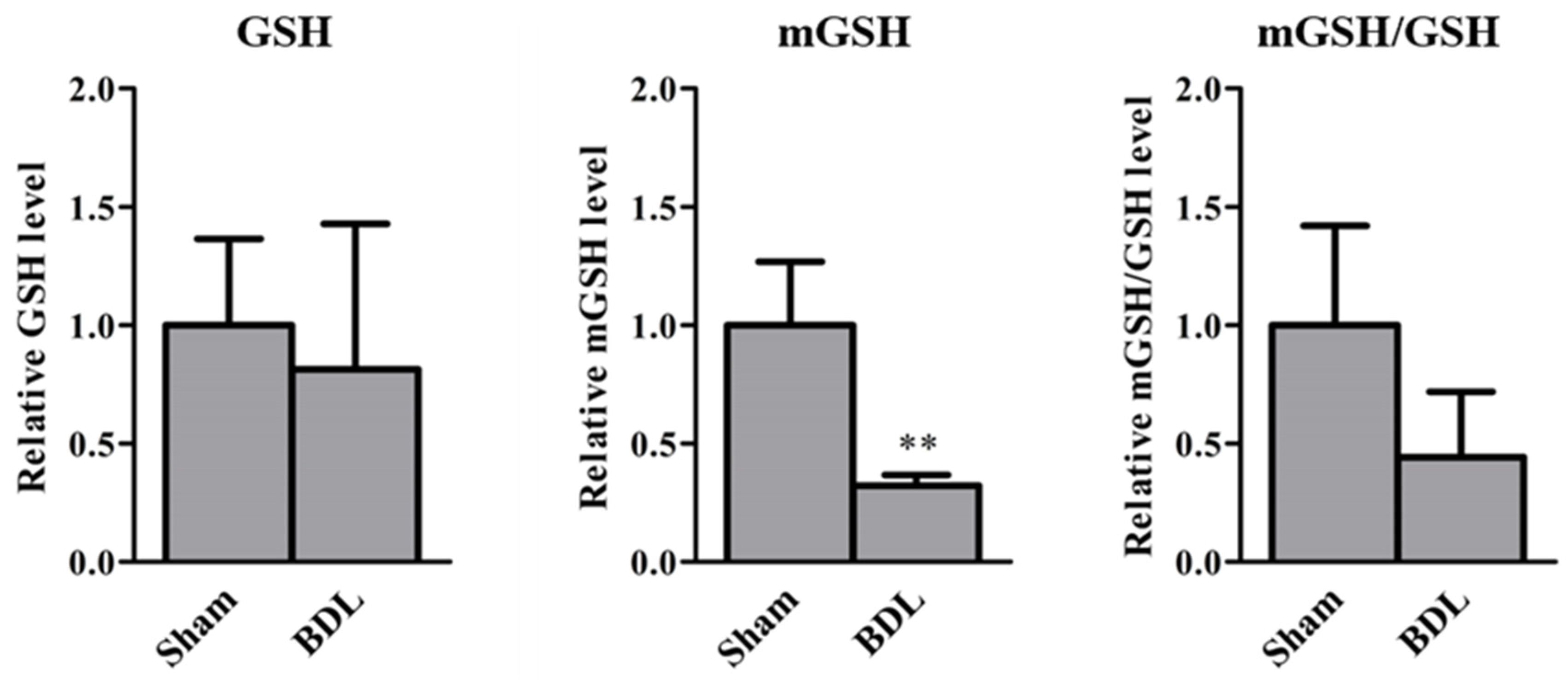 Ijms 23 08573 g005 550