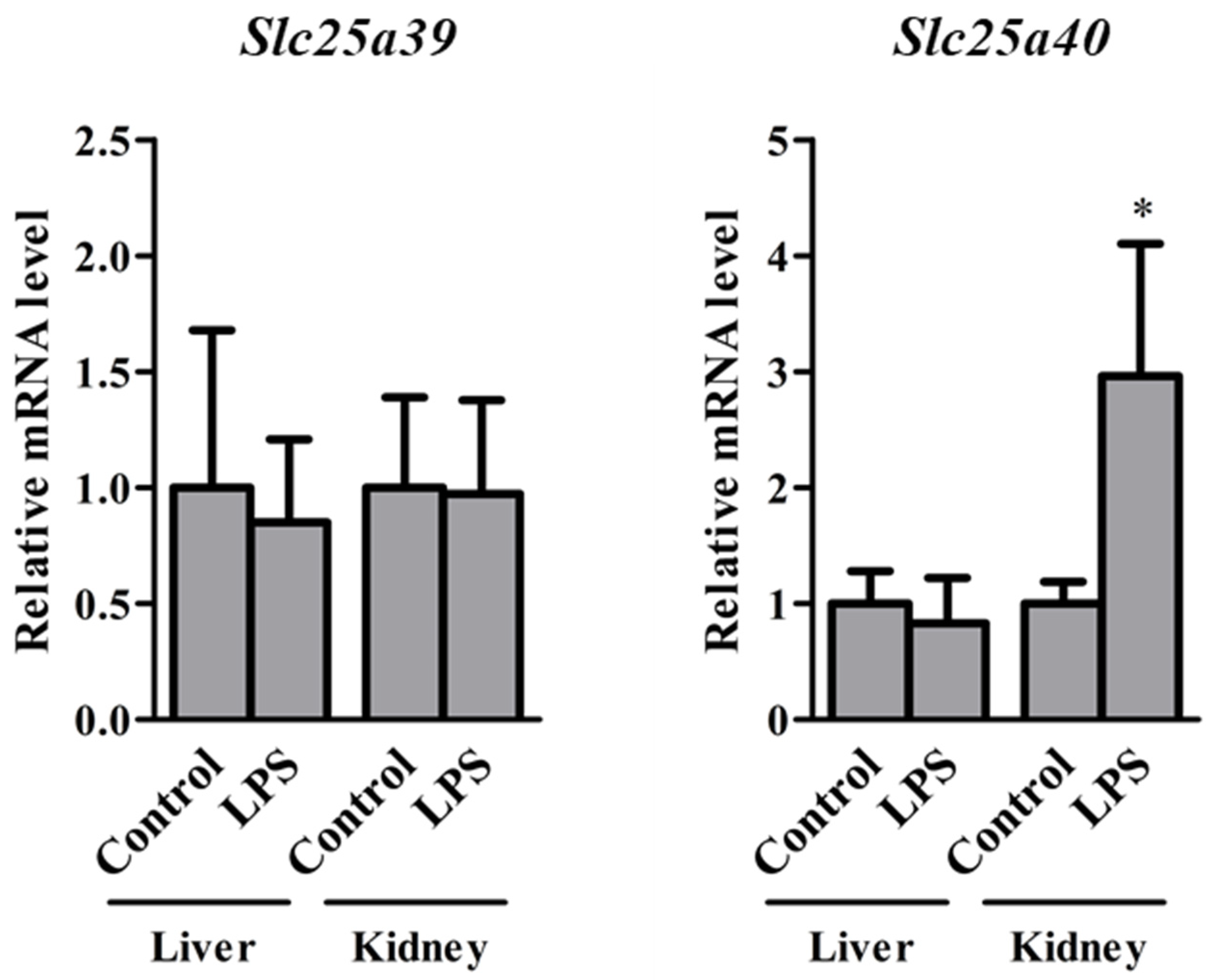 Ijms 23 08573 g006 550