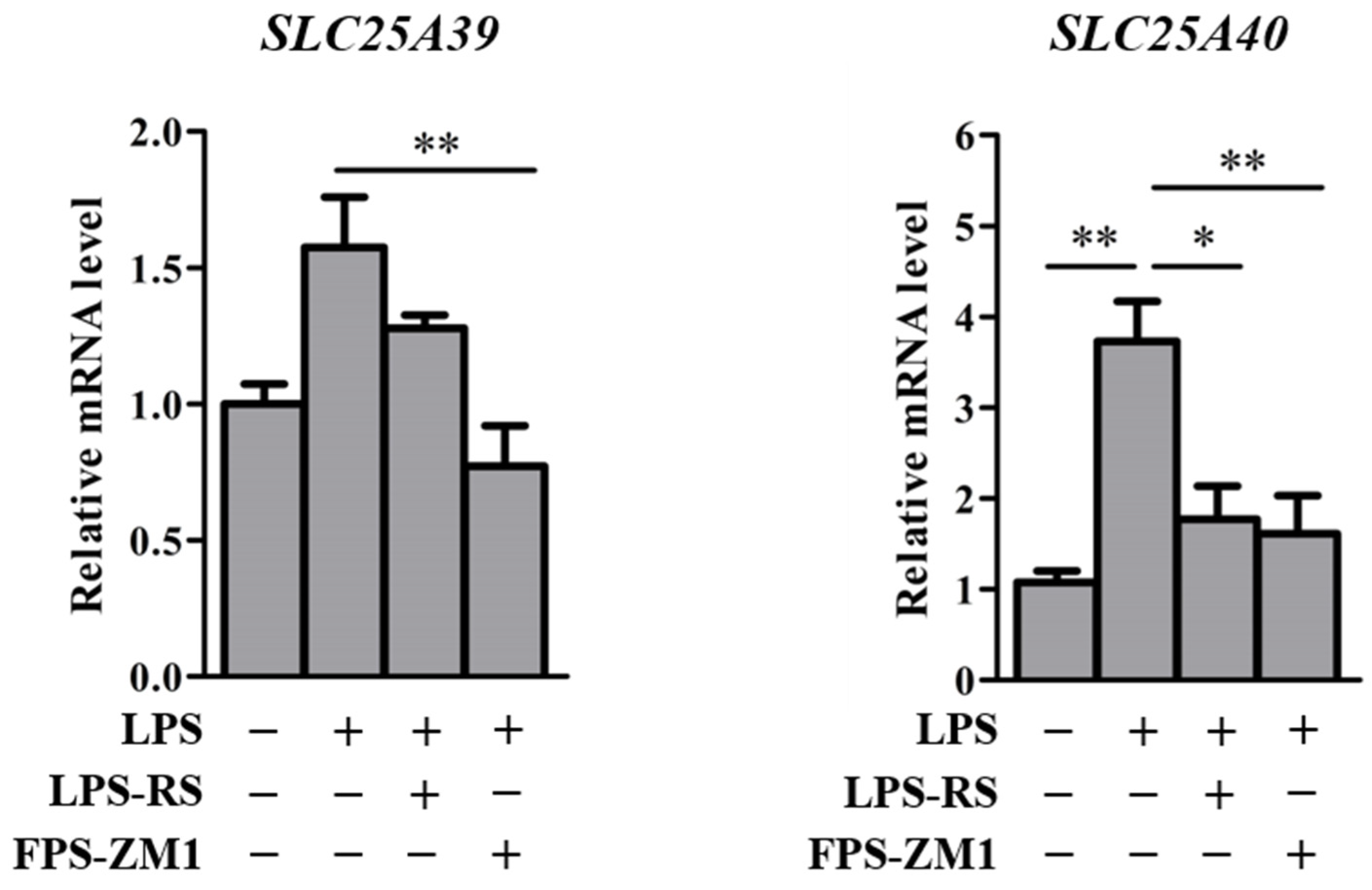 Ijms 23 08573 g007 550