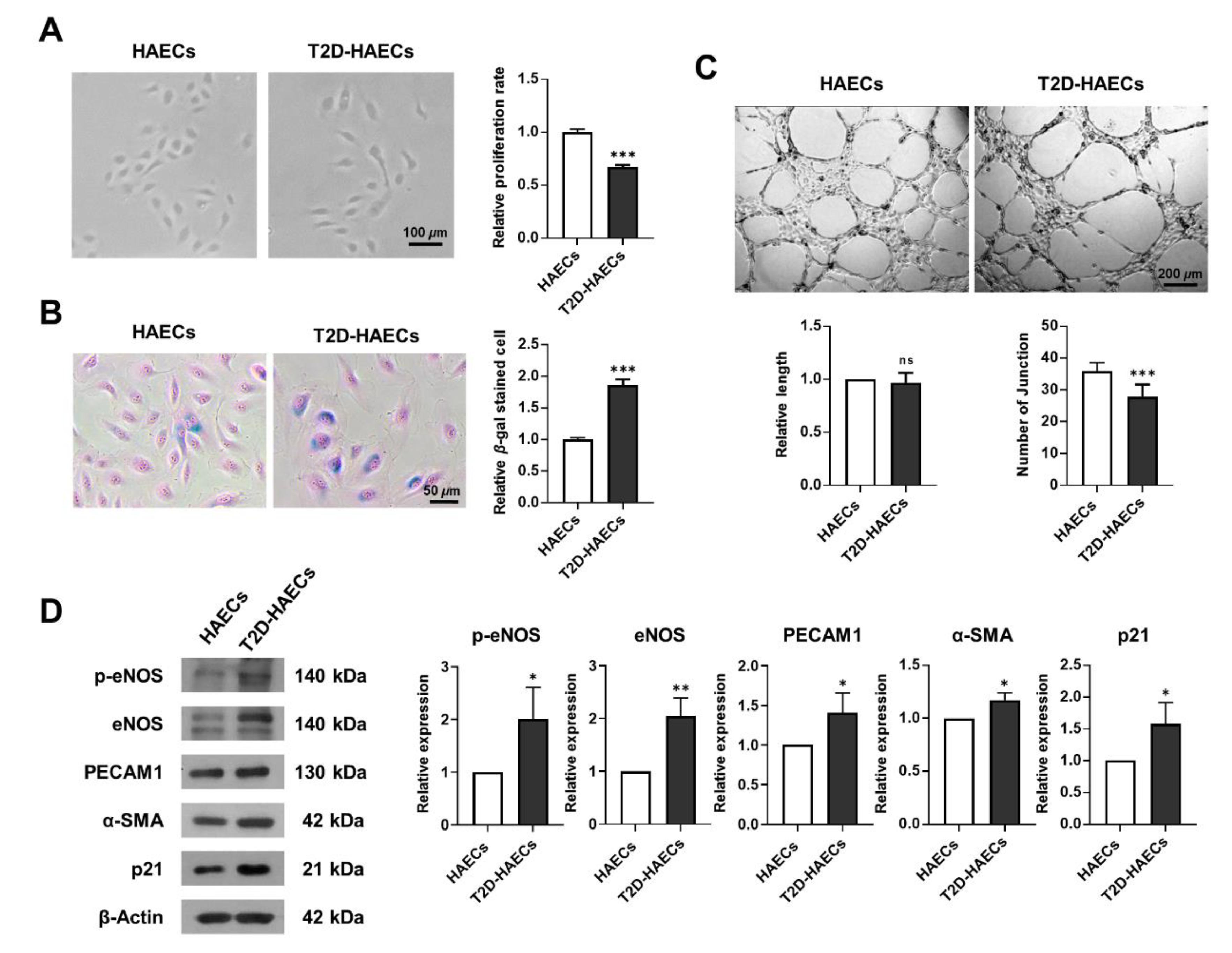 Ijms 23 08577 g001 550