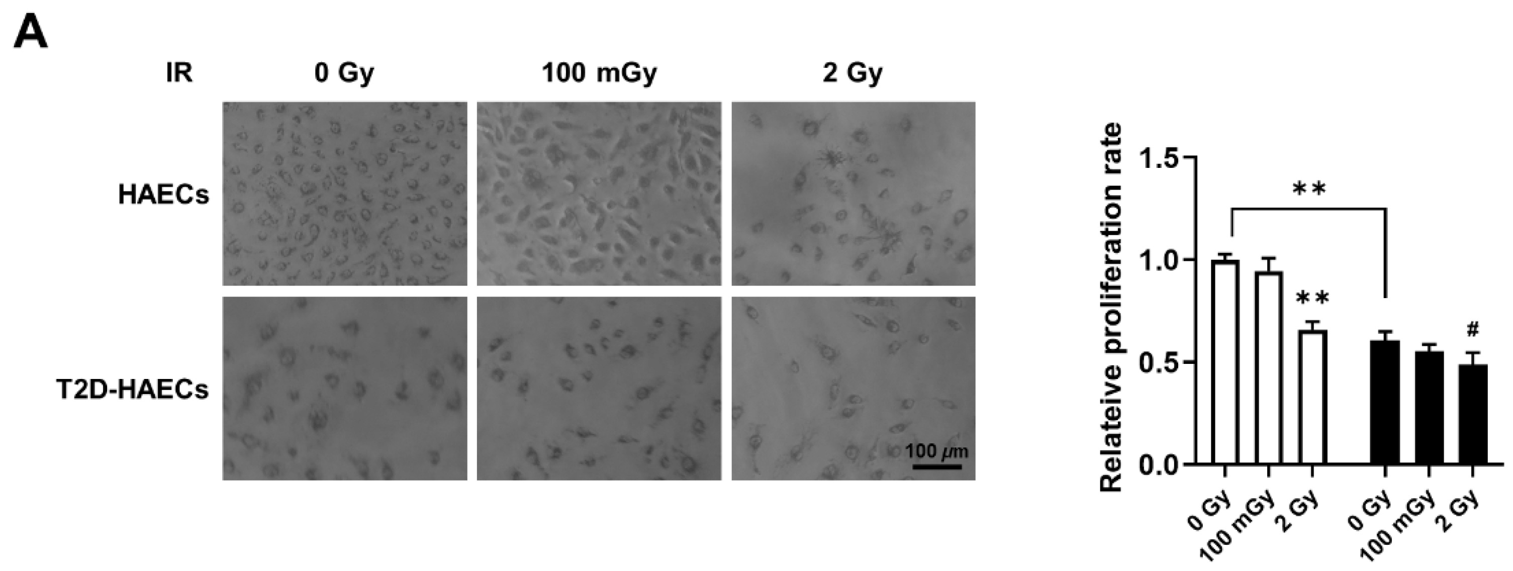 Ijms 23 08577 g007a 550