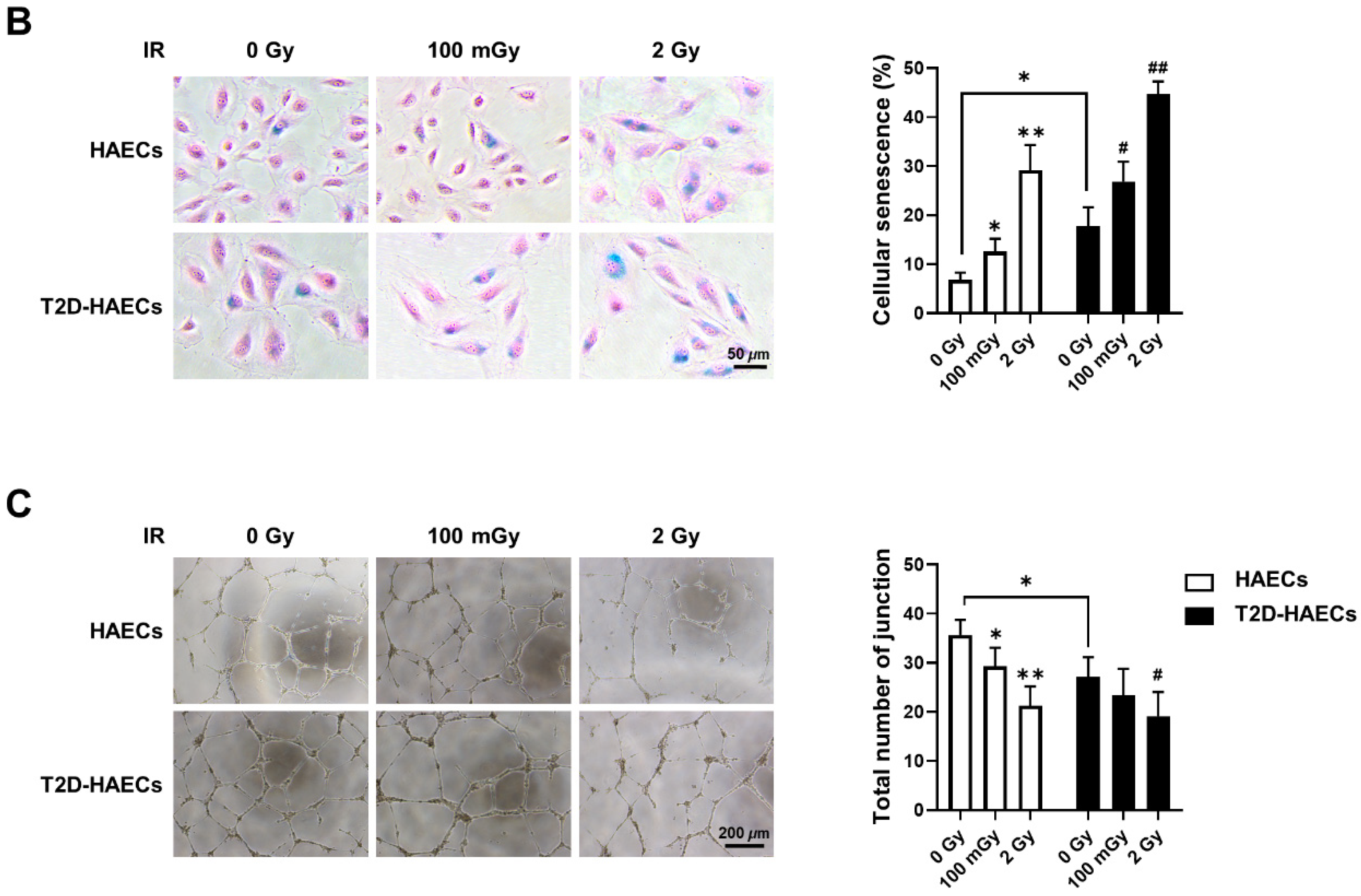 Ijms 23 08577 g007b 550