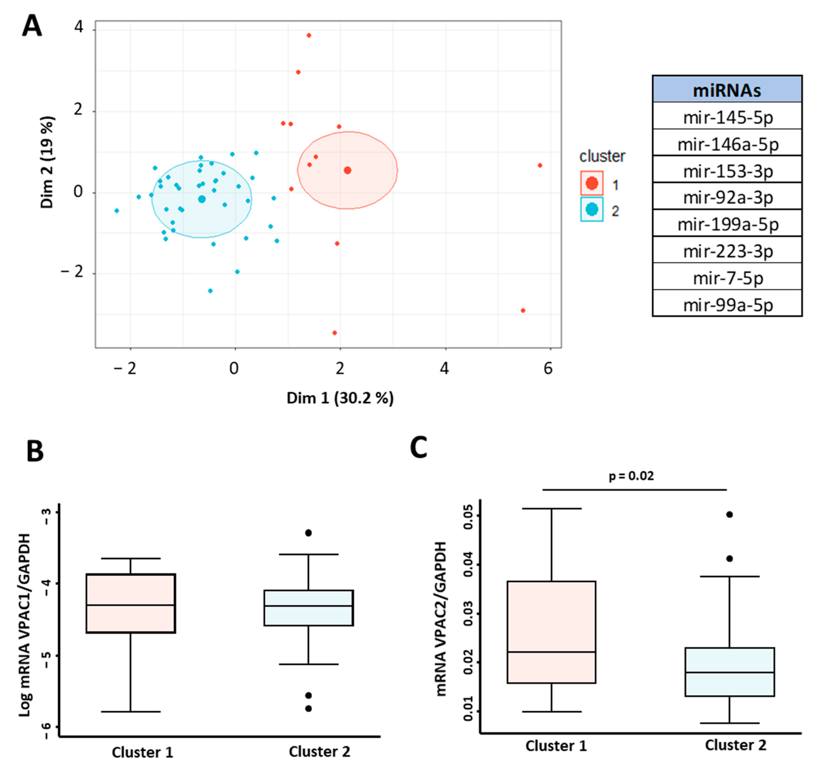 Ijms 23 08578 g005 Ijms 23 08578 g005