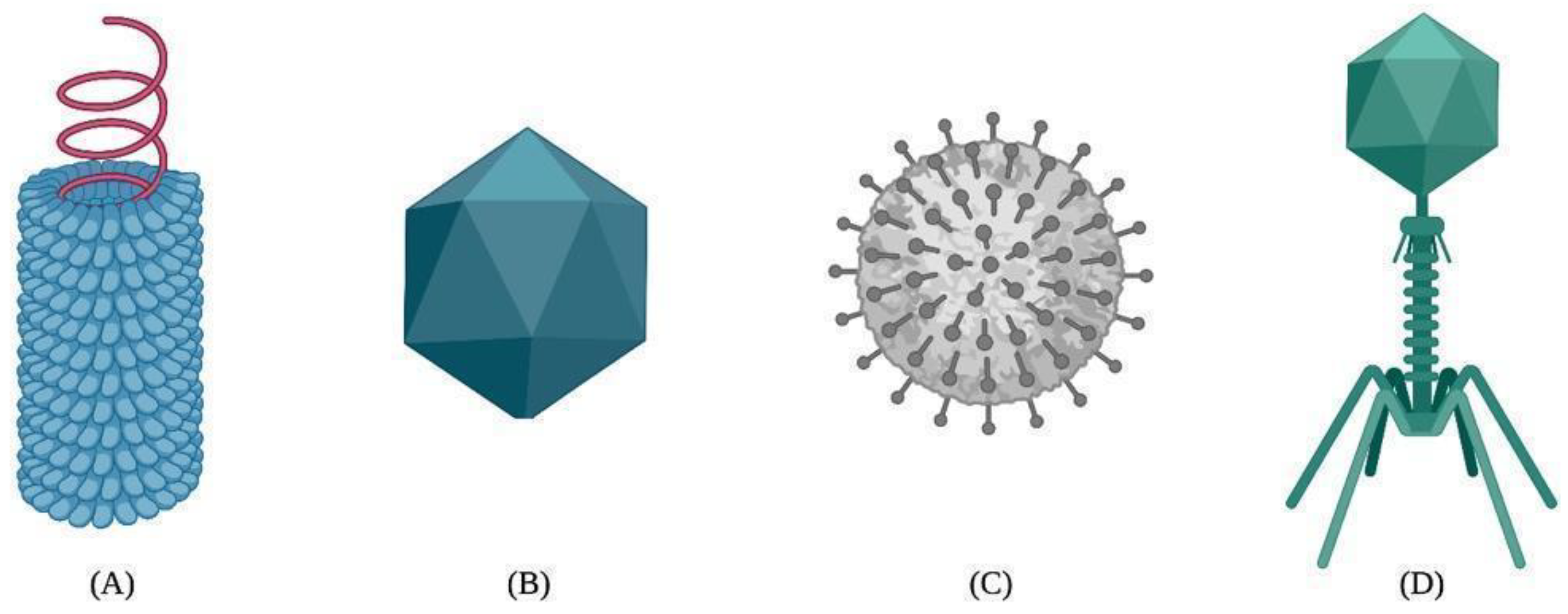 IJMS | Free Full-Text | Virus-like Particles: Fundamentals and Biomedical  Applications