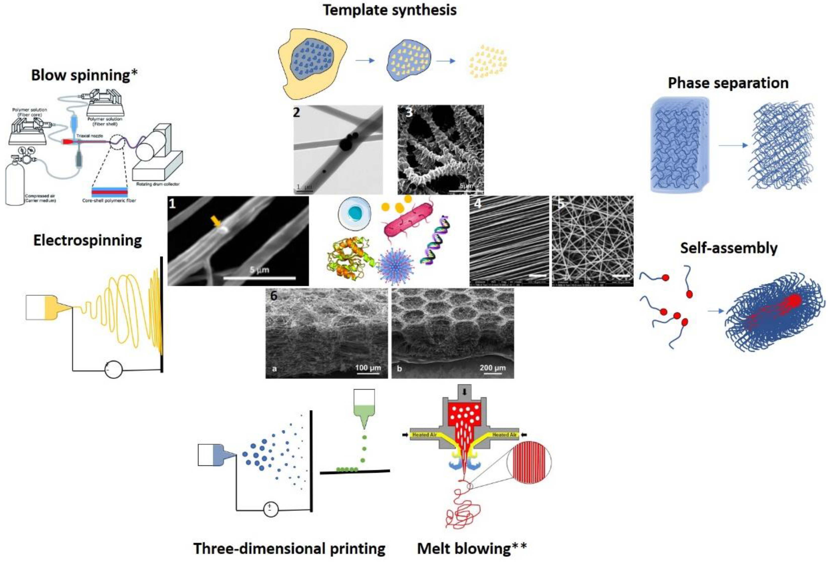 Ijms Free Full Text Nanofiber Carriers Of Therapeutic Load Current Trends Html