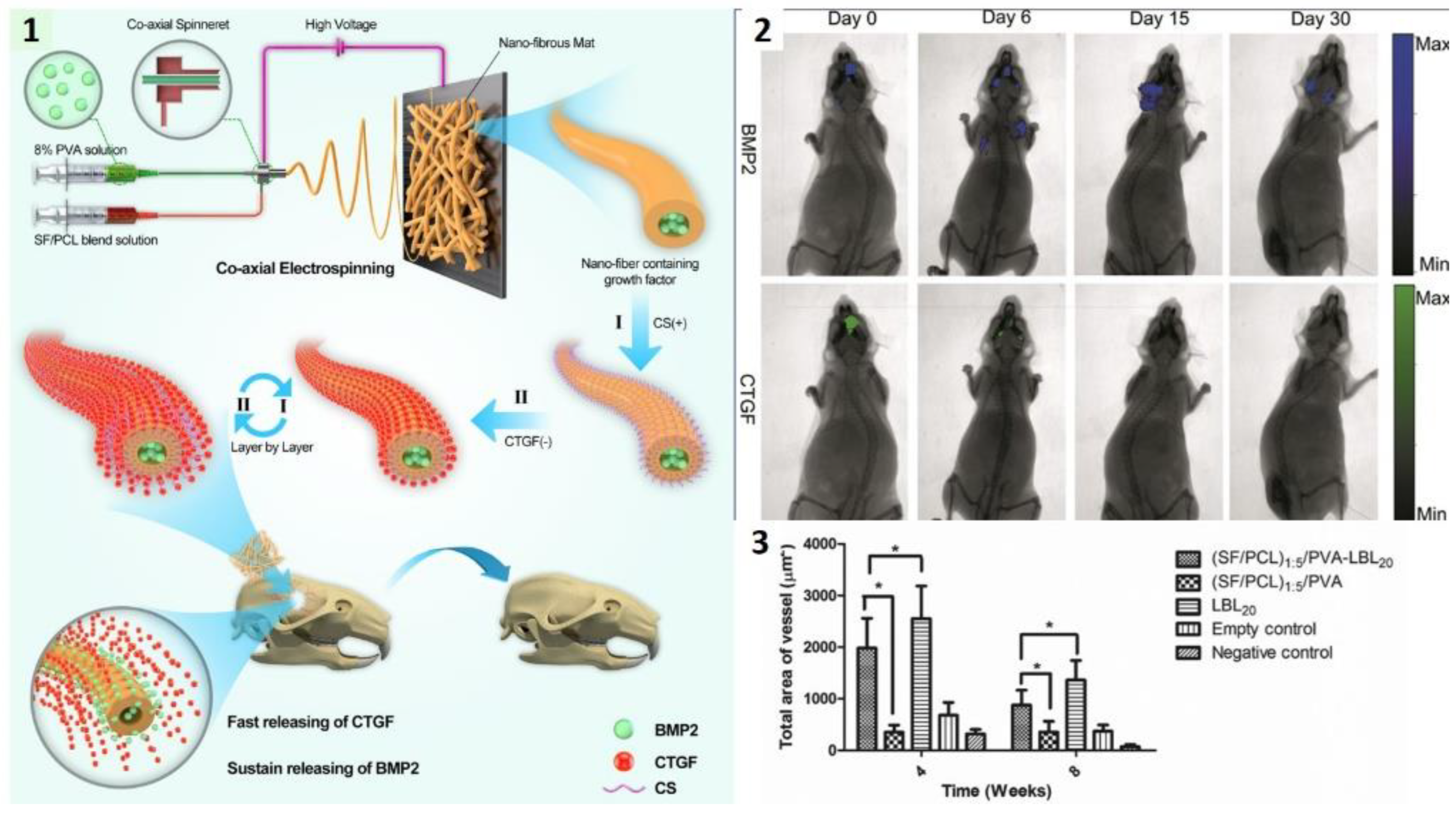 Ijms Free Full Text Nanofiber Carriers Of Therapeutic Load Current Trends Html