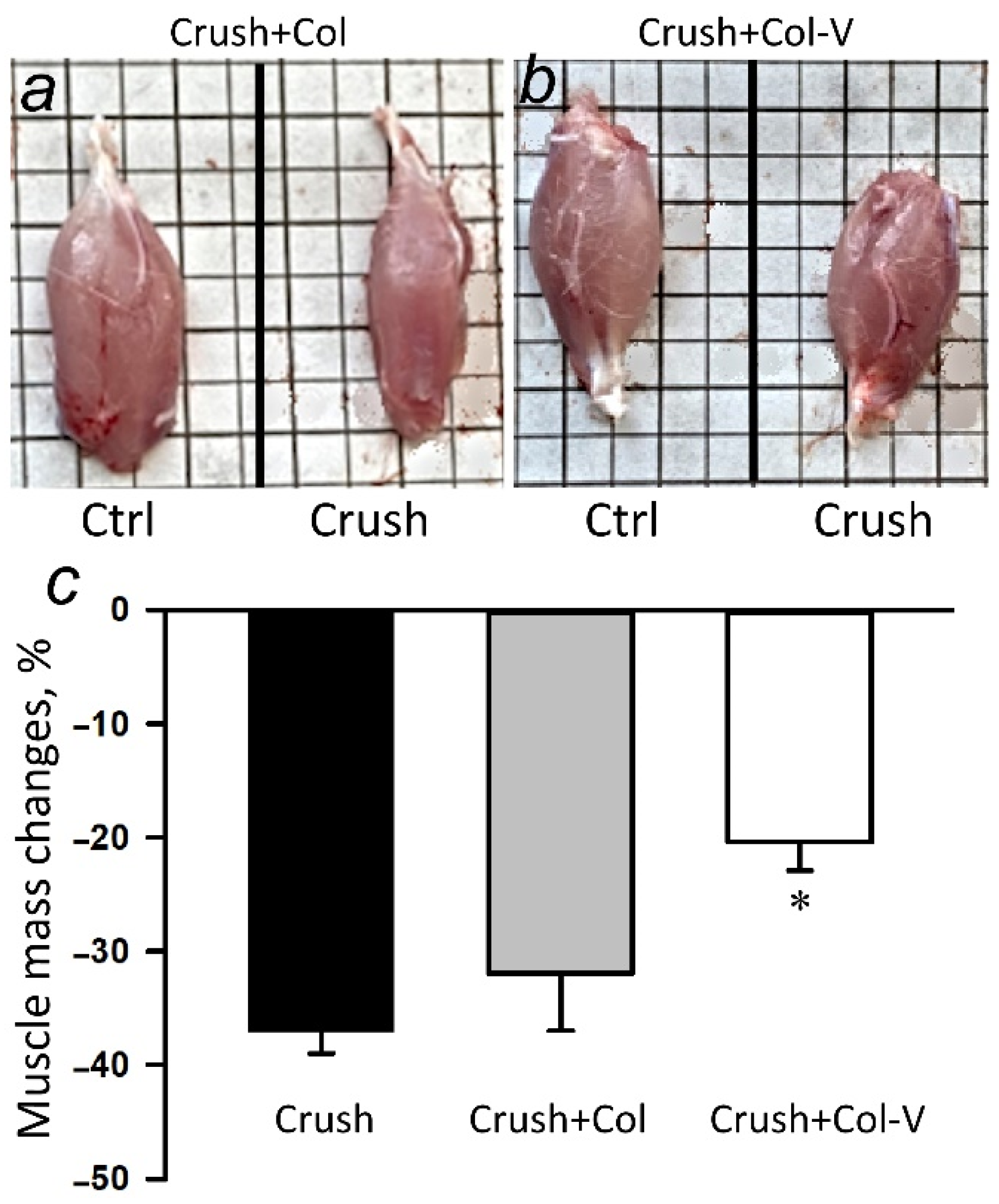 Ijms 23 08583 g002 Ijms 23 08583 g002