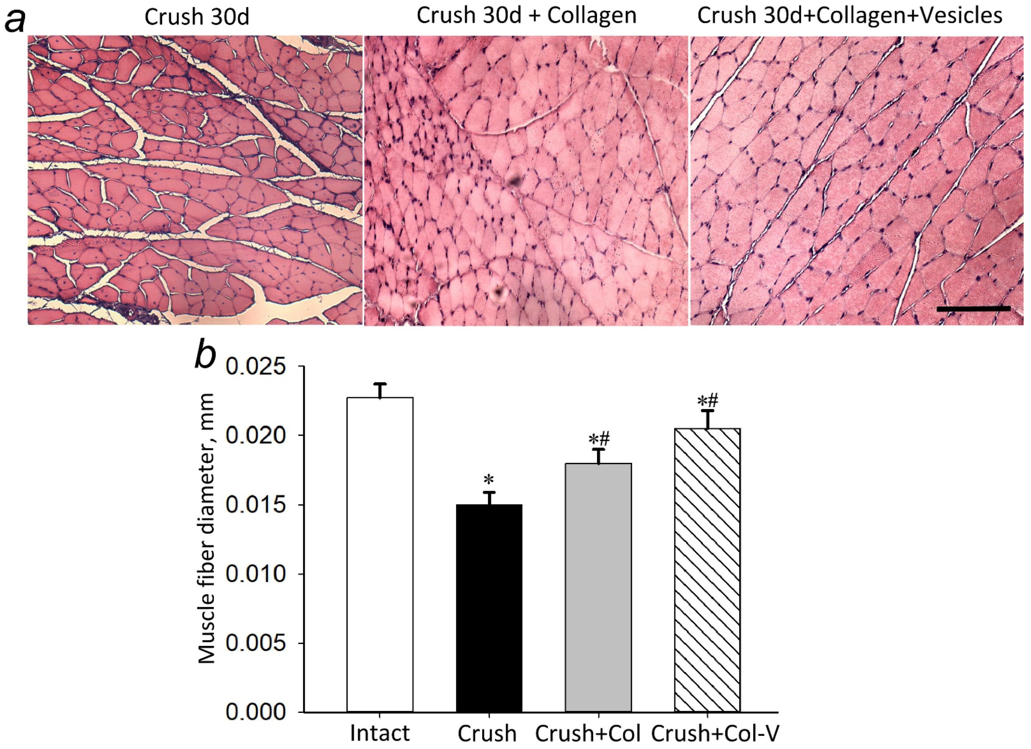 Ijms 23 08583 g003 Ijms 23 08583 g003