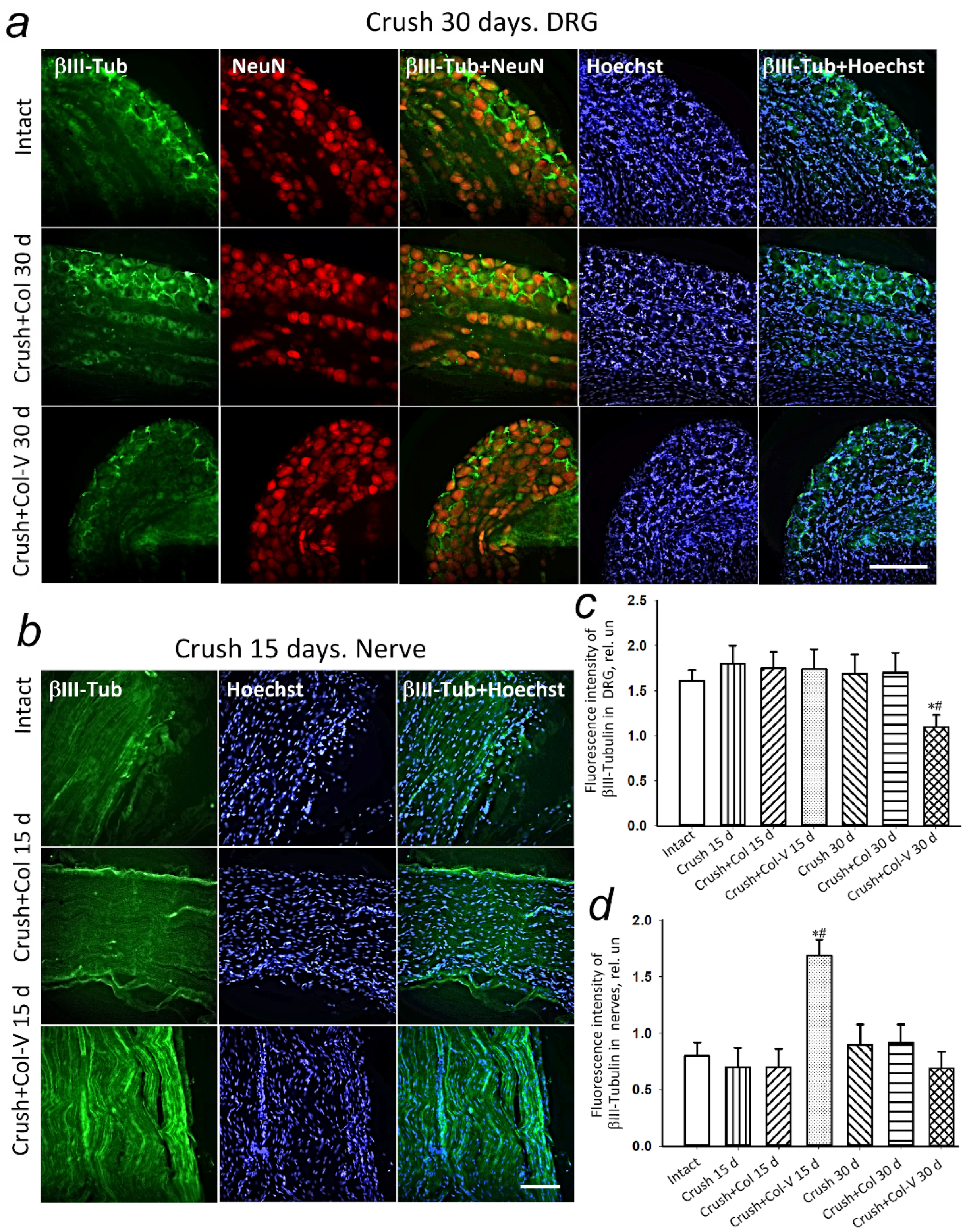 Ijms 23 08583 g007 Ijms 23 08583 g007