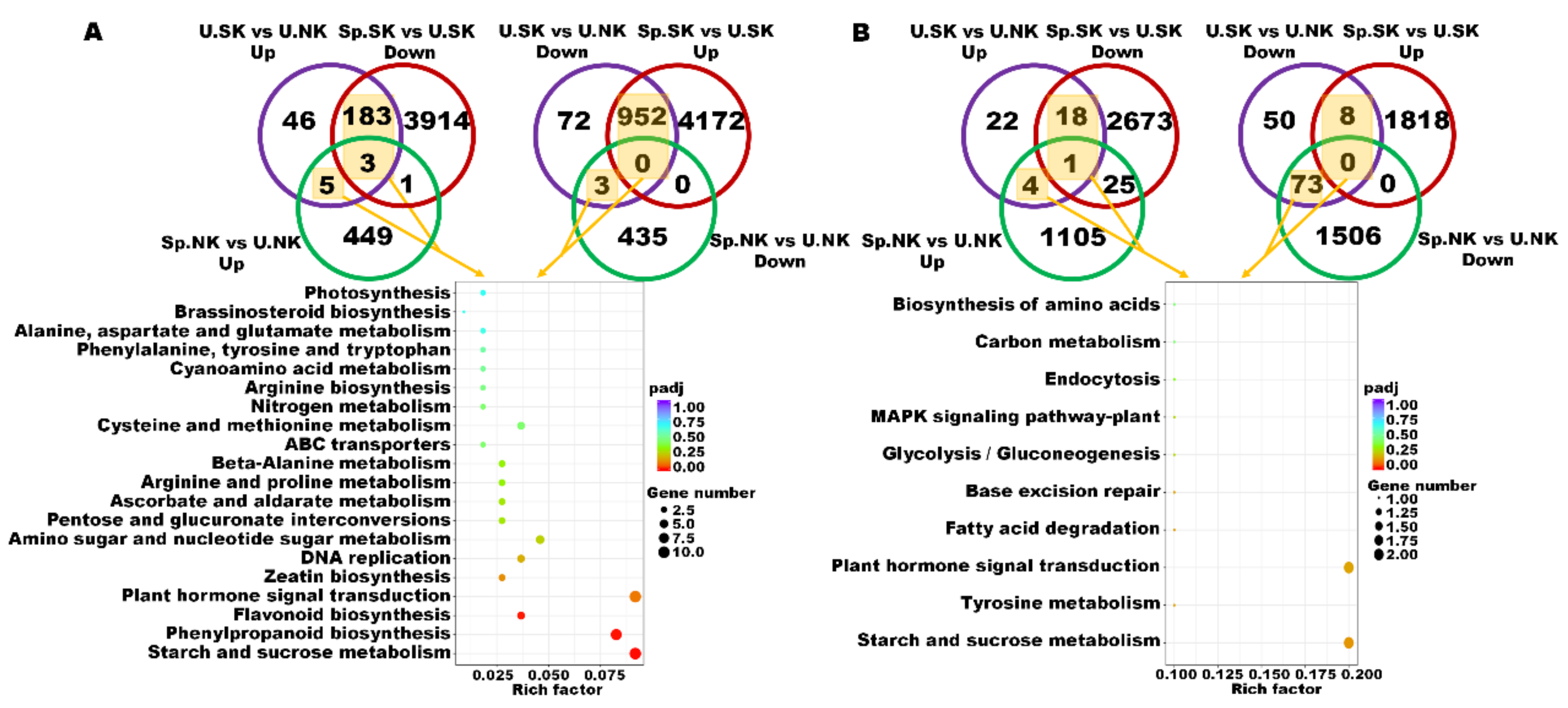 Ijms 23 08585 g007 550