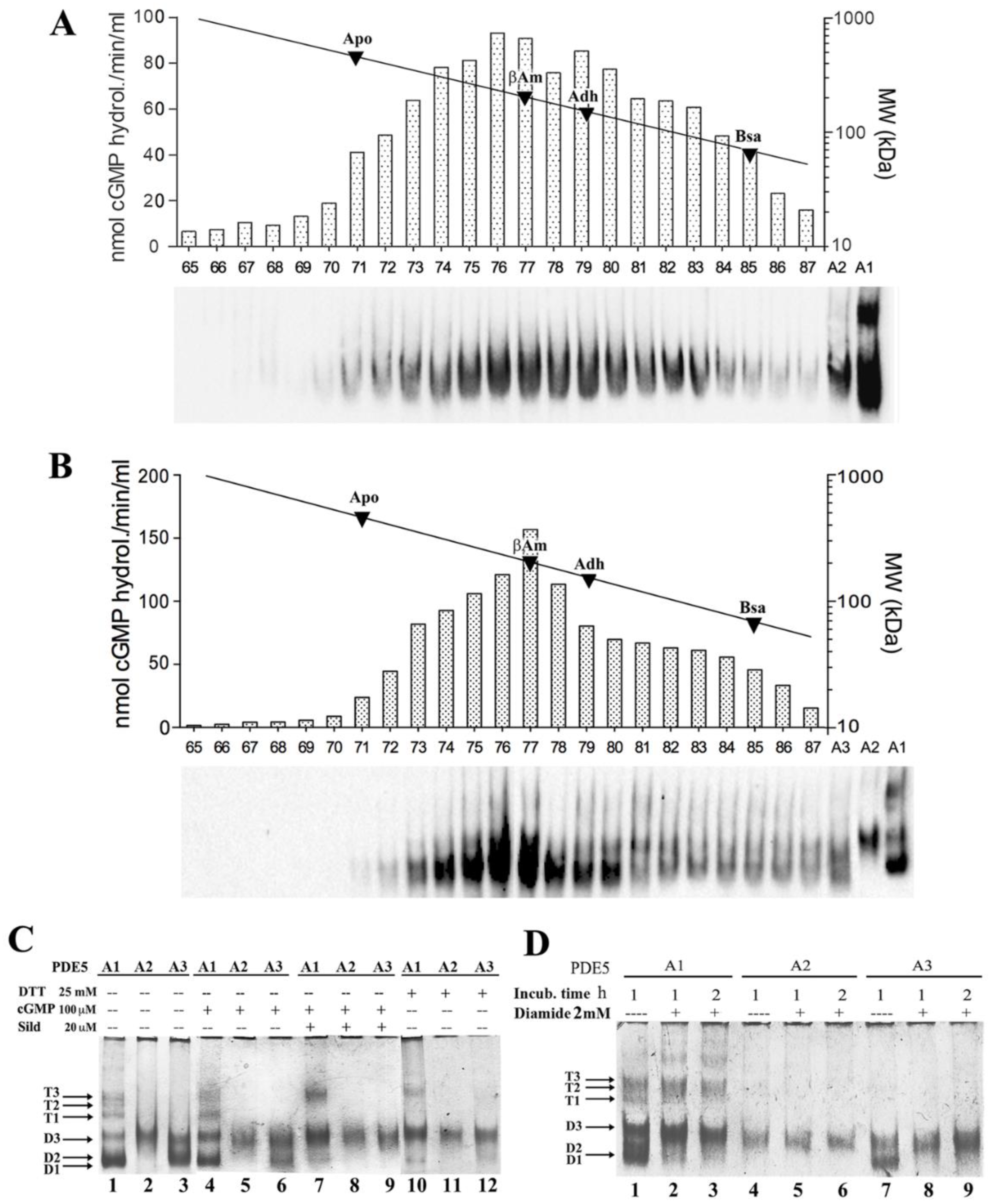 Ijms 23 08587 g001 Ijms 23 08587 g001