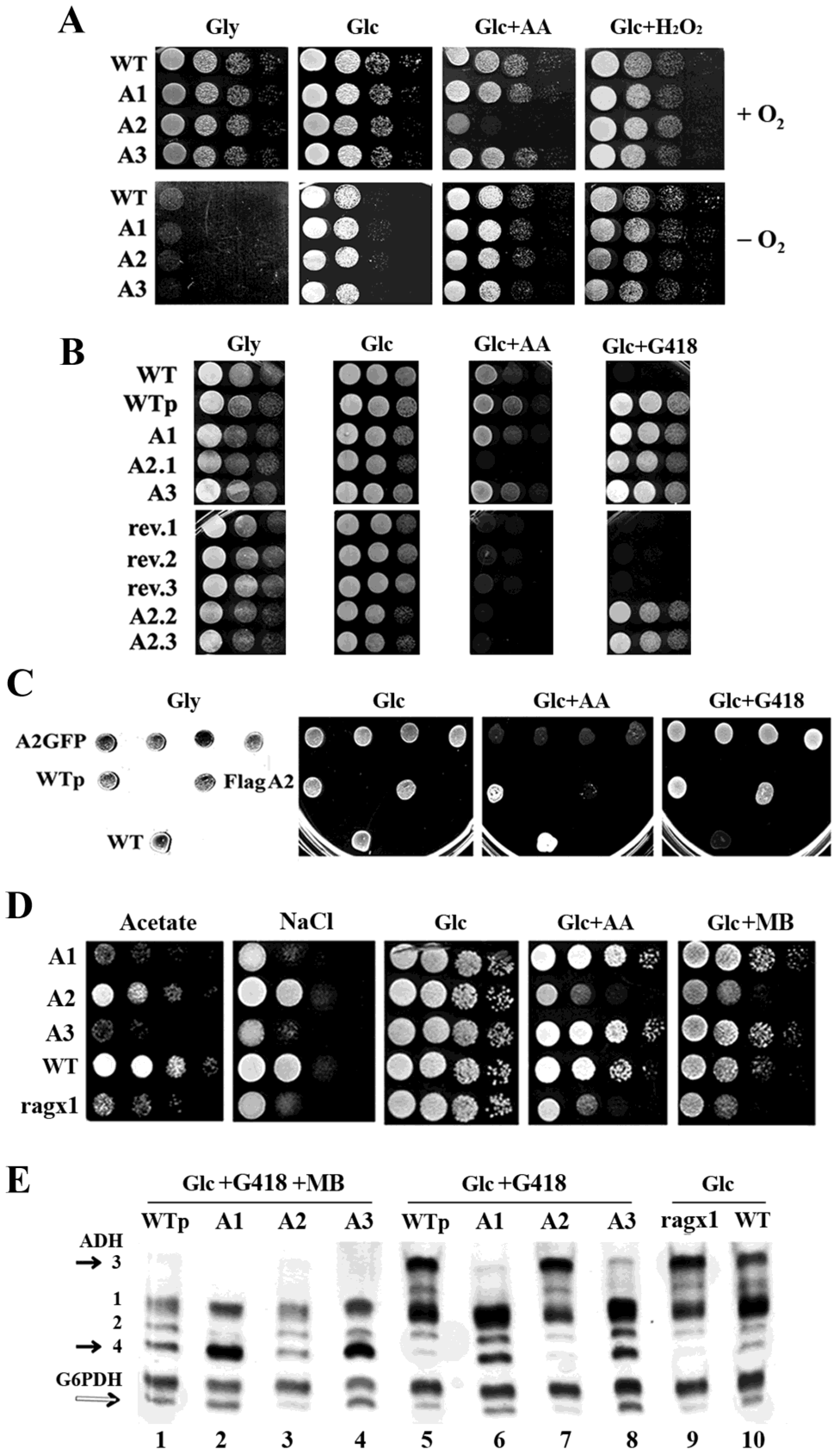 Ijms 23 08587 g002 Ijms 23 08587 g002