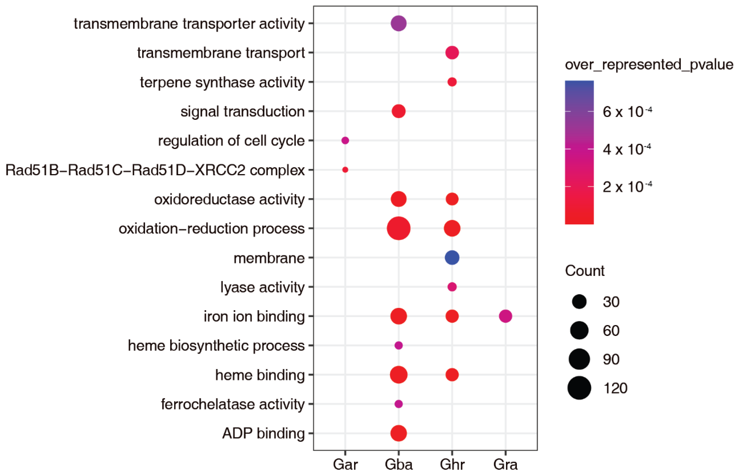 The Conservation of Long Intergenic Non-Coding RNAs and