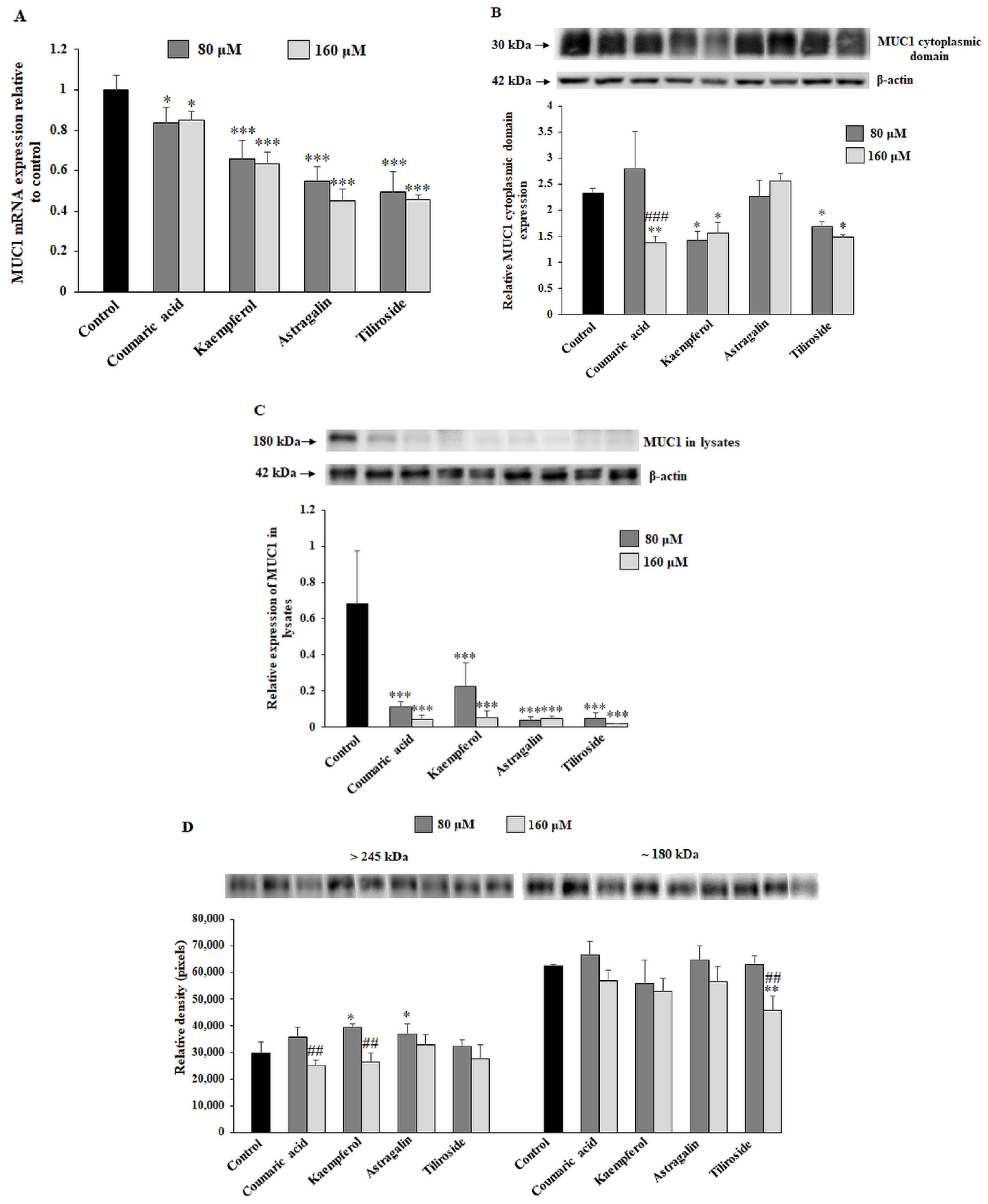Ijms 23 08602 g003 550