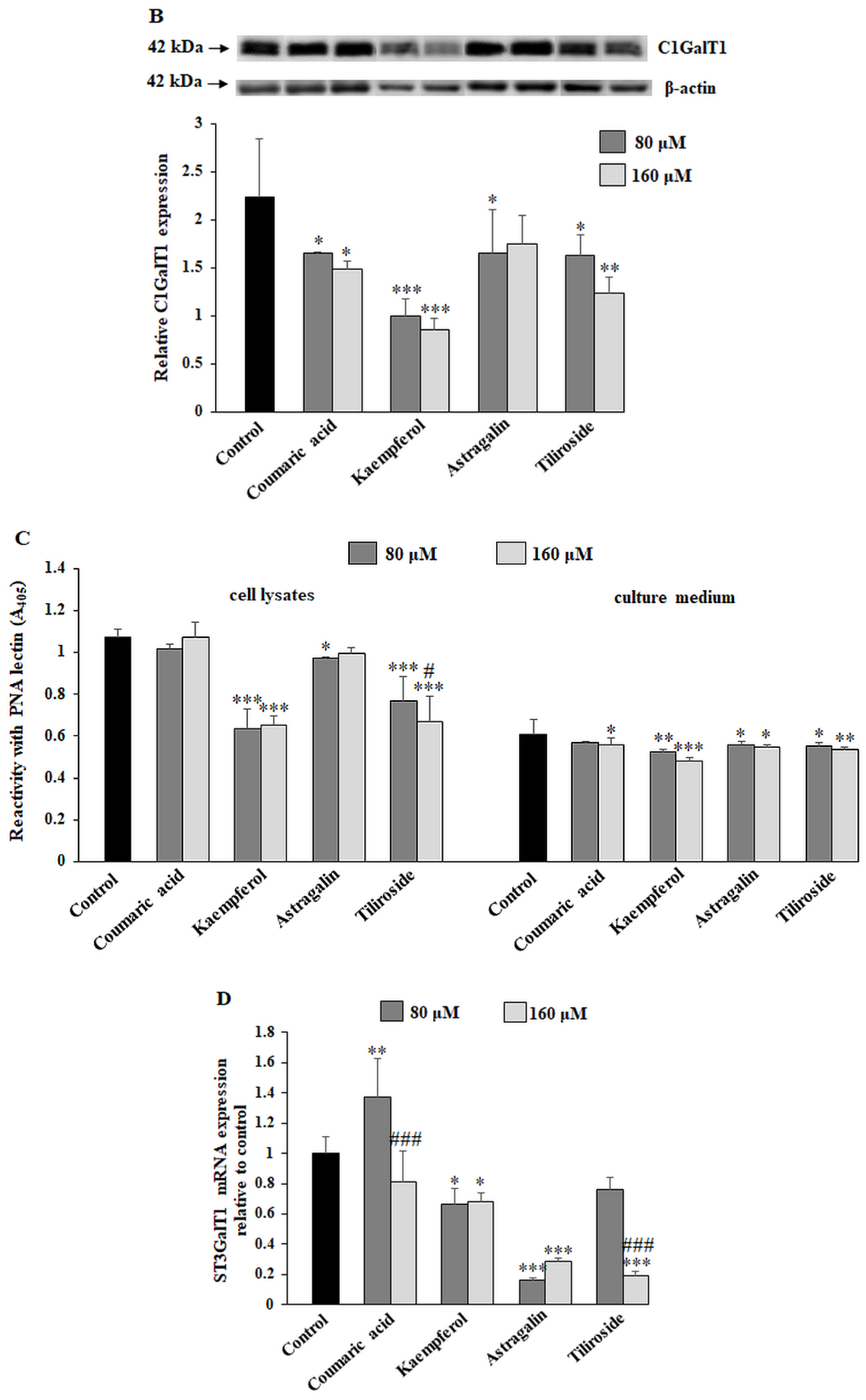 Ijms 23 08602 g005b 550