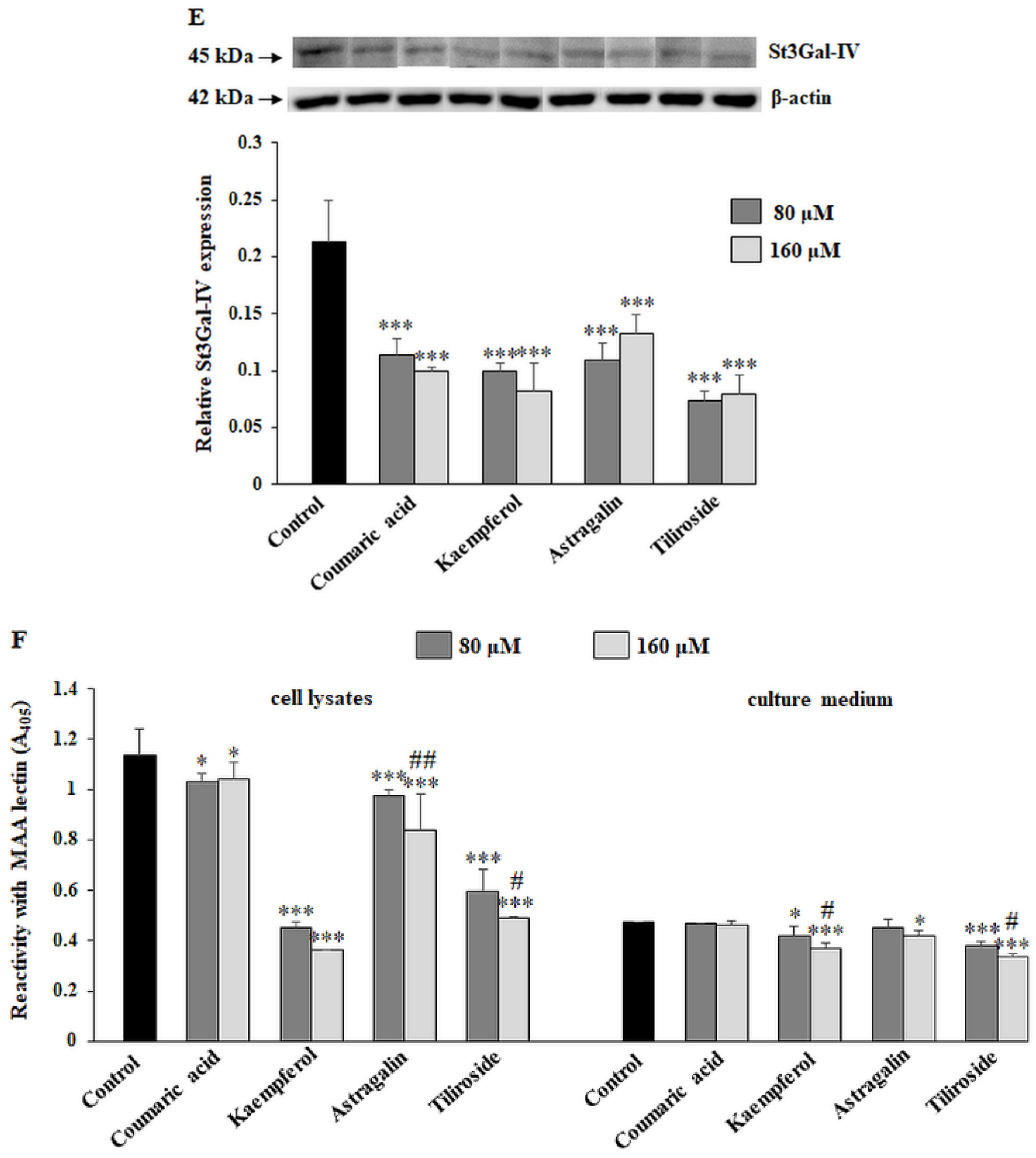 Ijms 23 08602 g005c 550