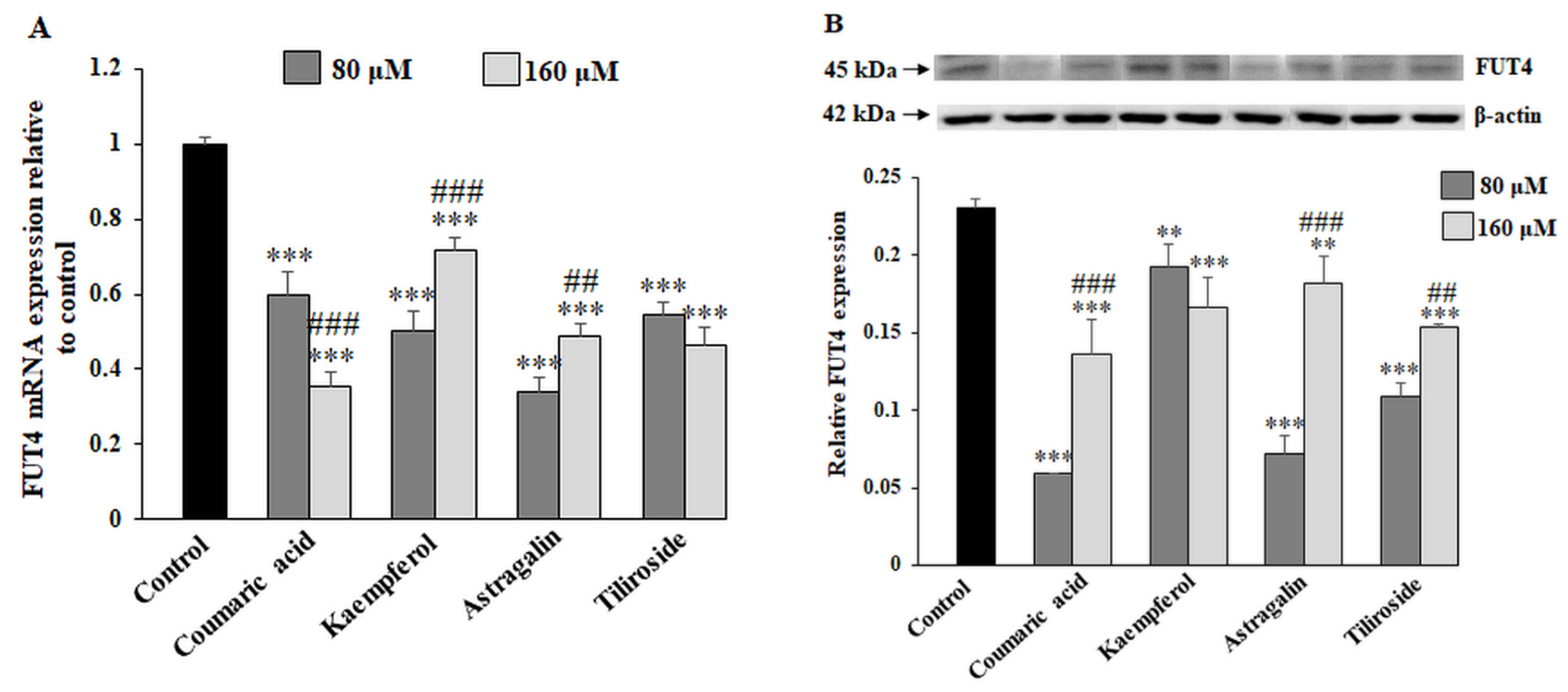 Ijms 23 08602 g006a 550