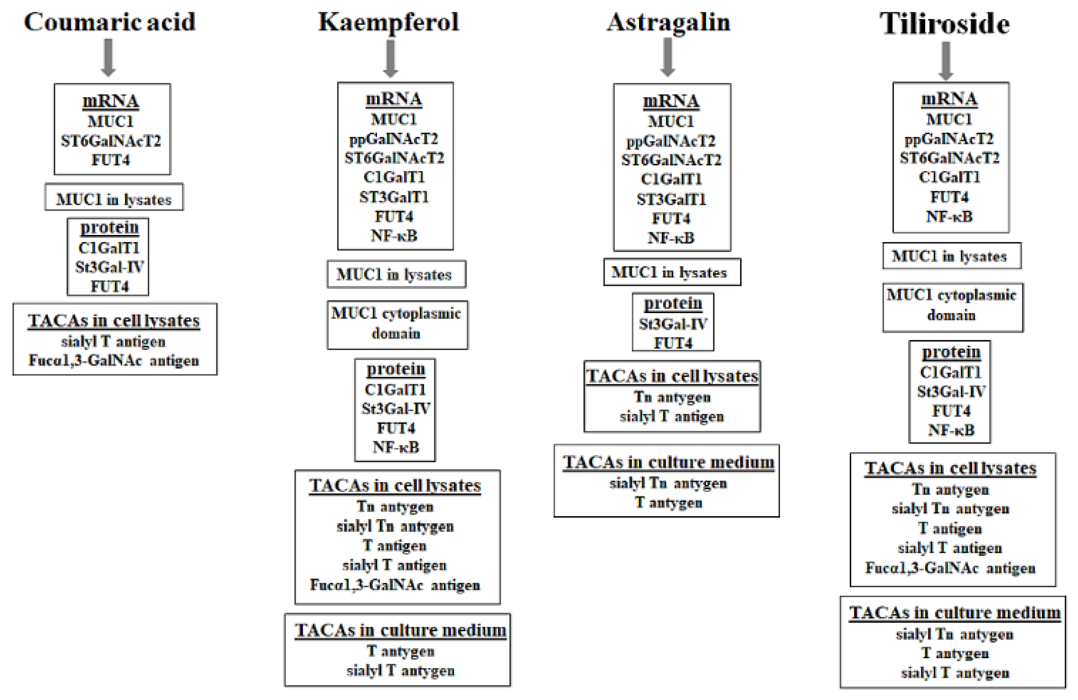 Ijms 23 08602 g008 550