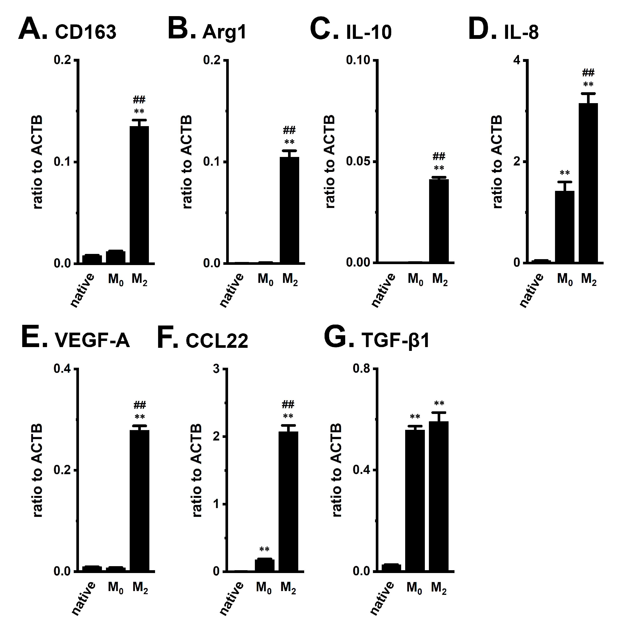 Ijms 23 08603 g001 Ijms 23 08603 g001