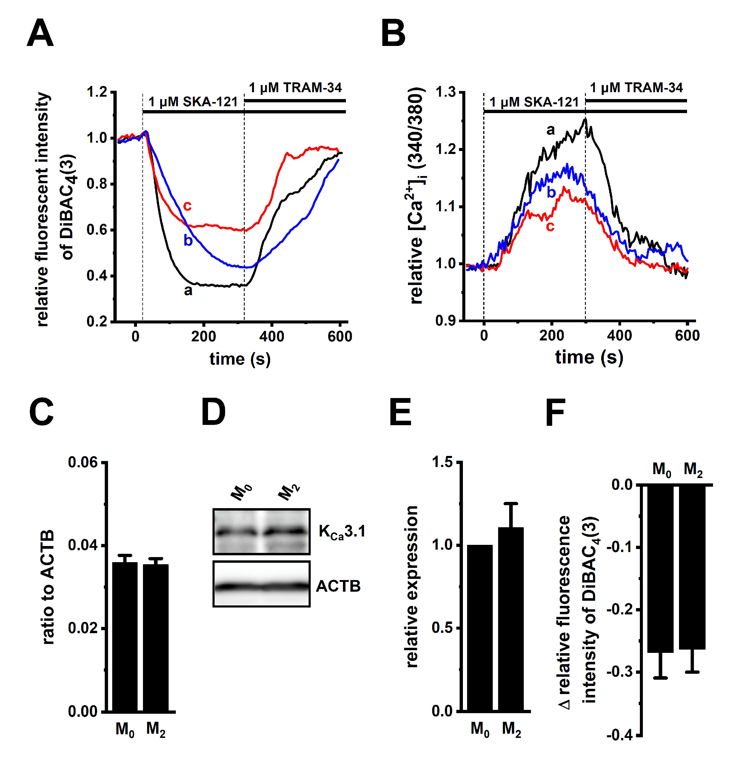 Ijms 23 08603 g002 Ijms 23 08603 g002
