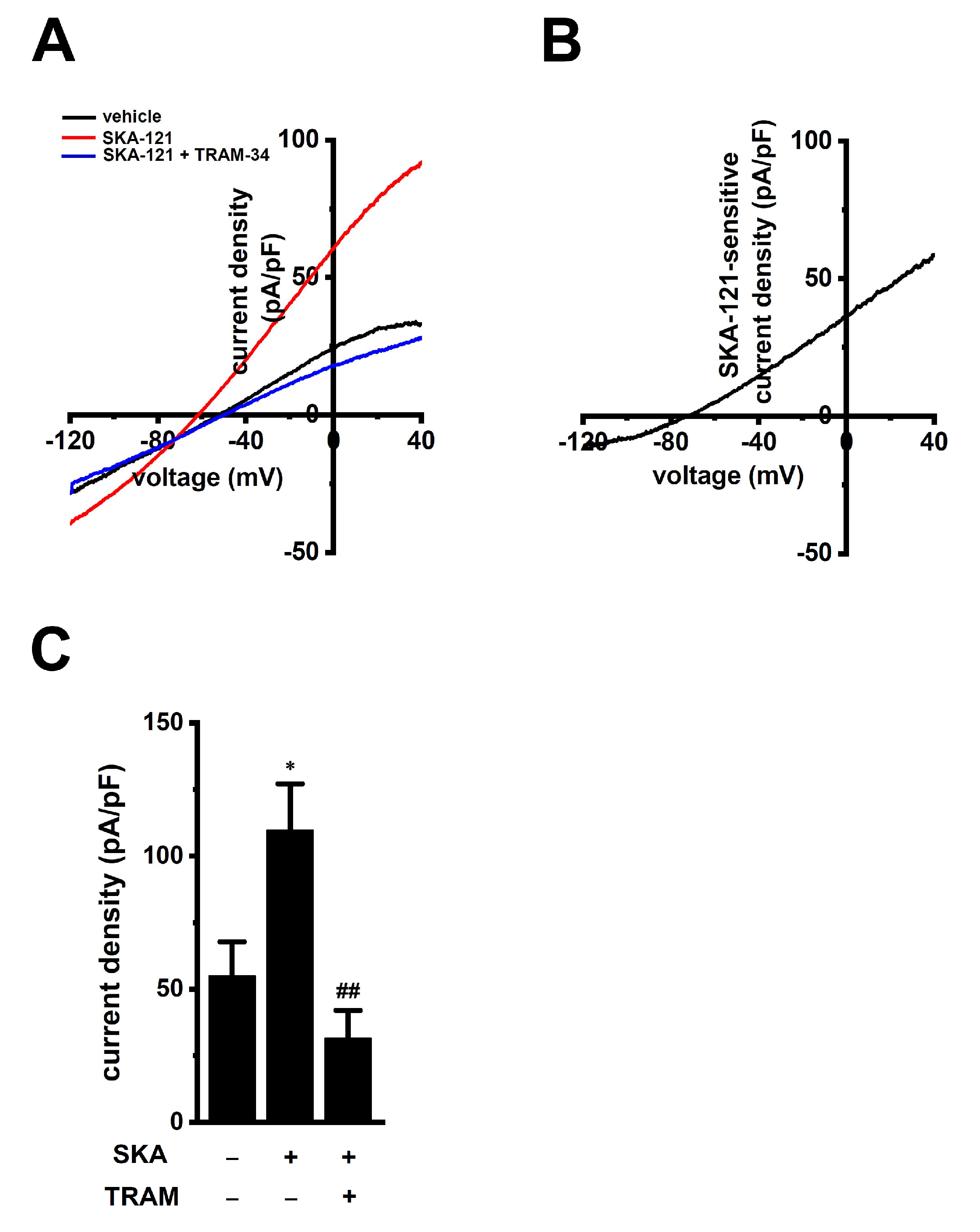 Ijms 23 08603 g003 Ijms 23 08603 g003