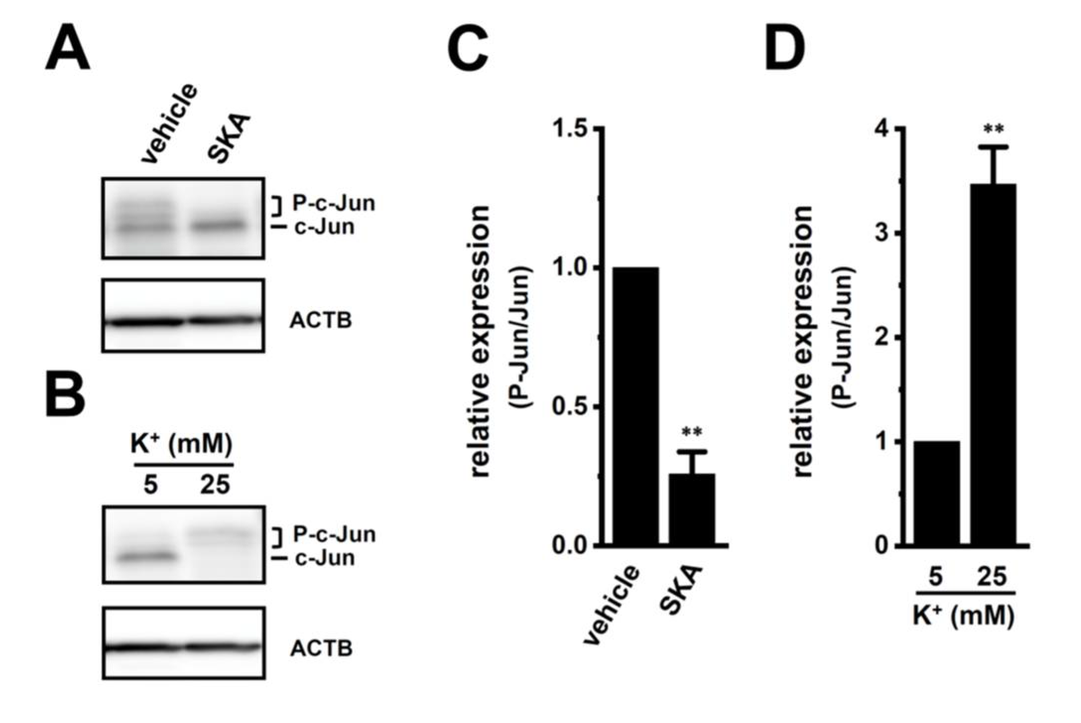 Ijms 23 08603 g008 Ijms 23 08603 g008