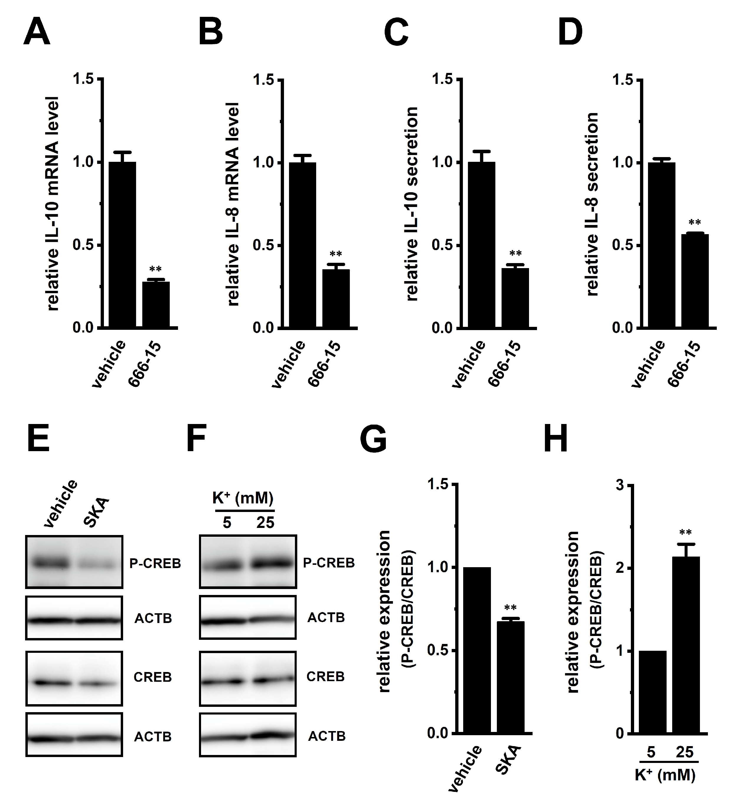 Ijms 23 08603 g009 Ijms 23 08603 g009