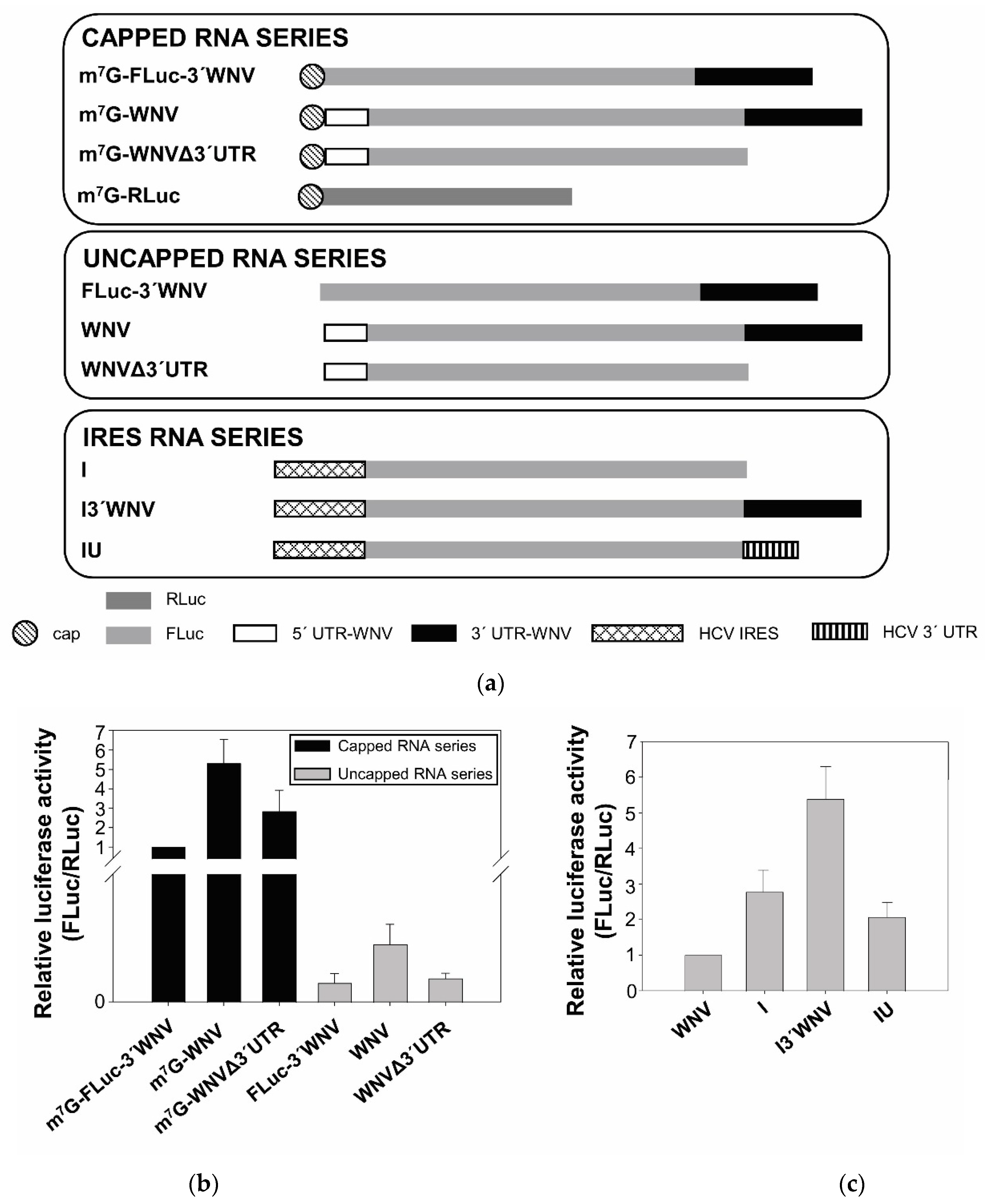 Ijms 23 08604 g001 550