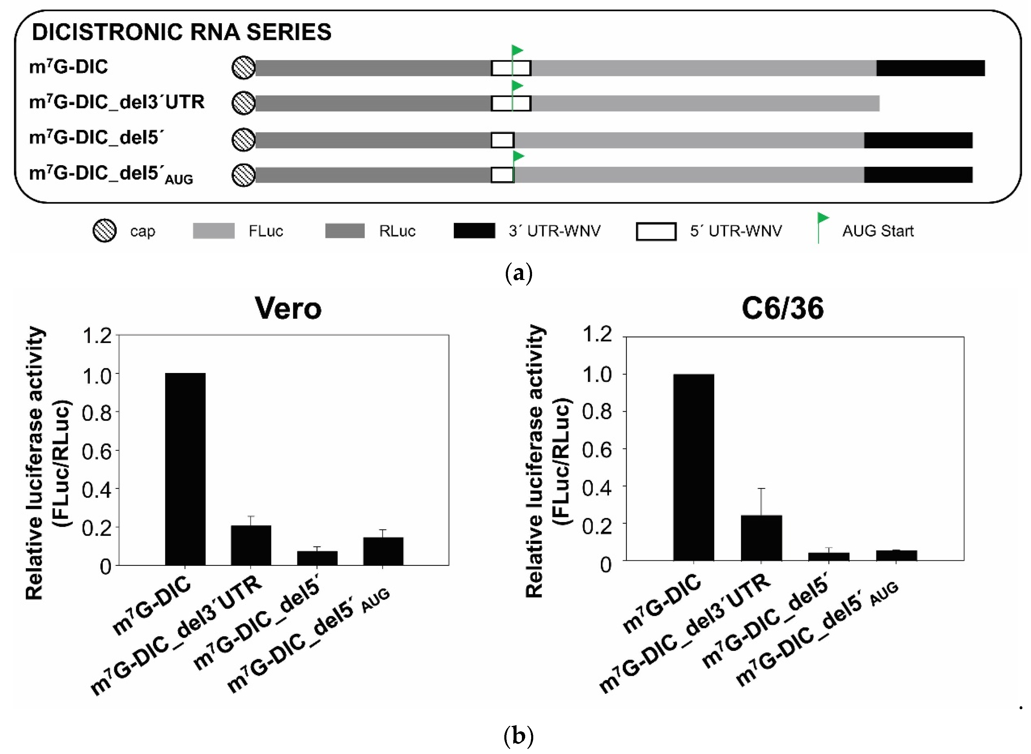 Ijms 23 08604 g002 550