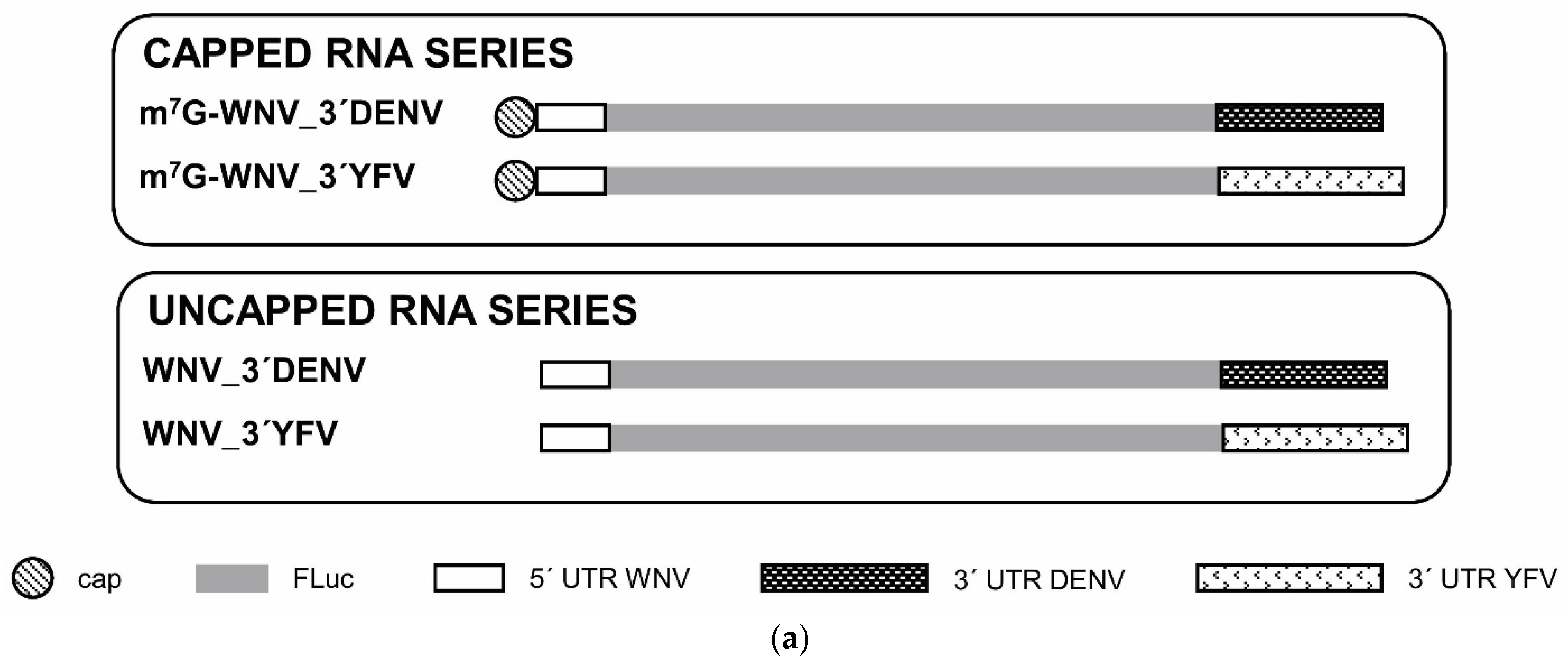 Ijms 23 08604 g005a 550