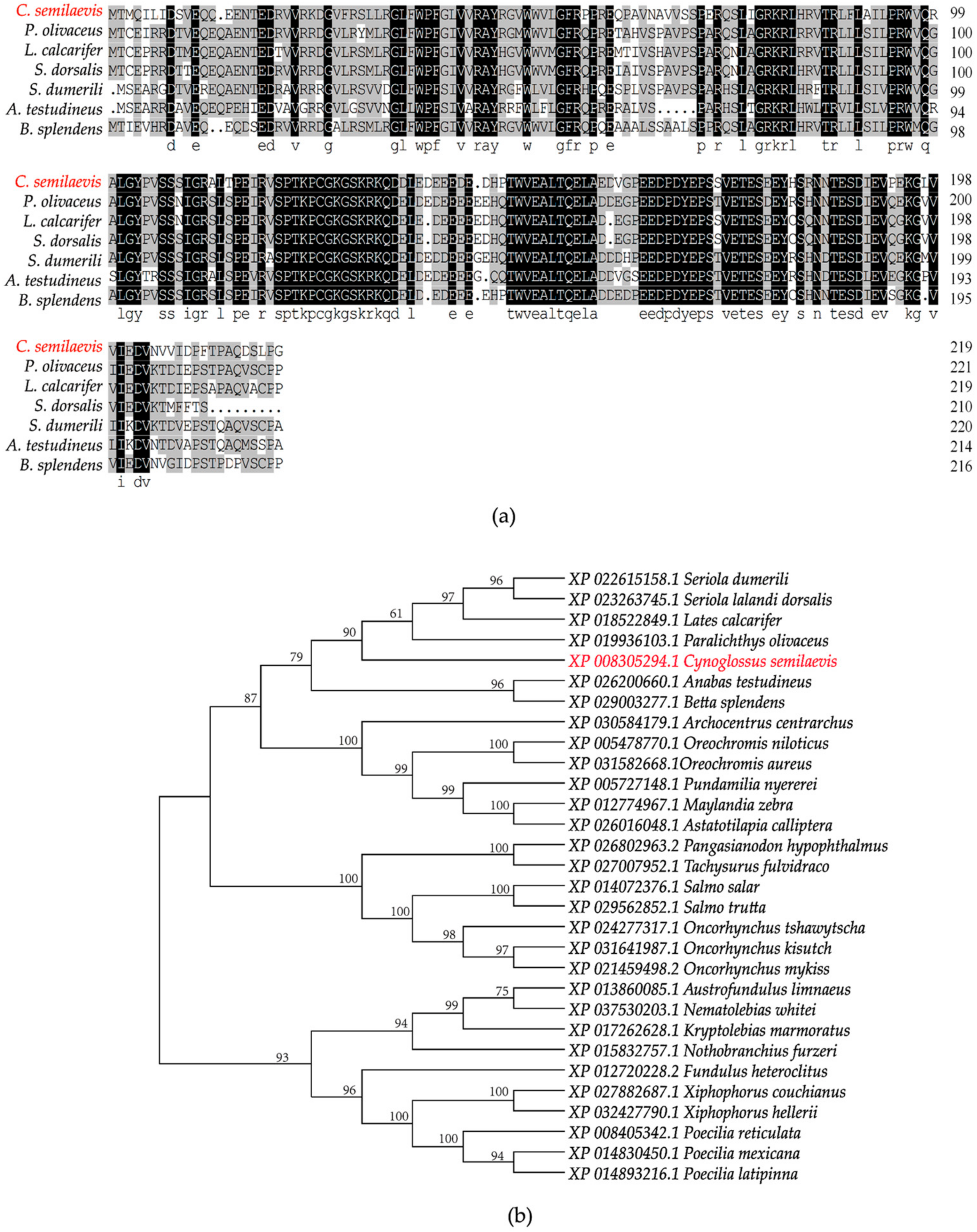 Ijms 23 08605 g002 550