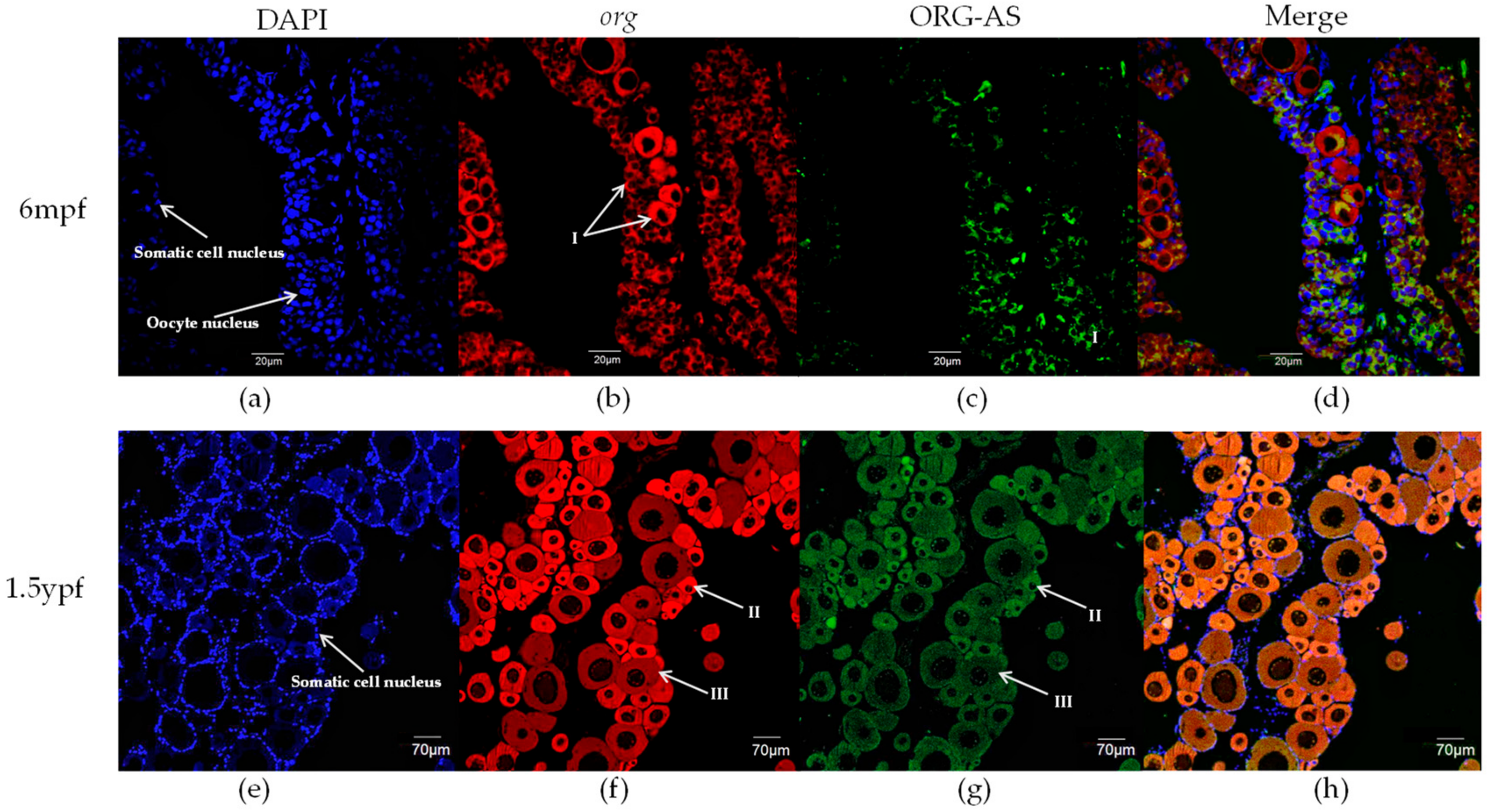 Ijms 23 08605 g005 550