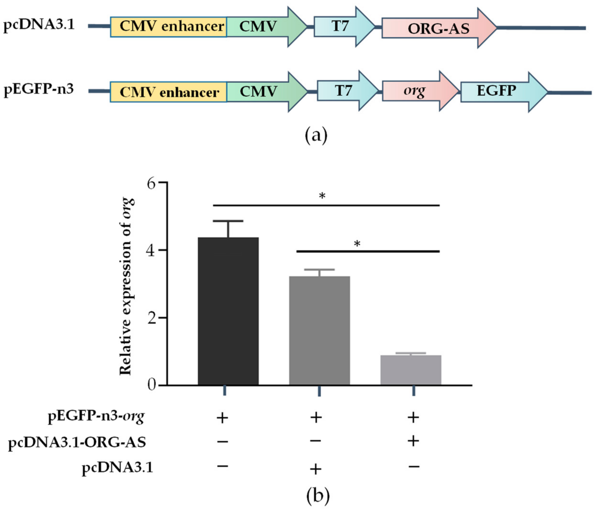 Ijms 23 08605 g006 550