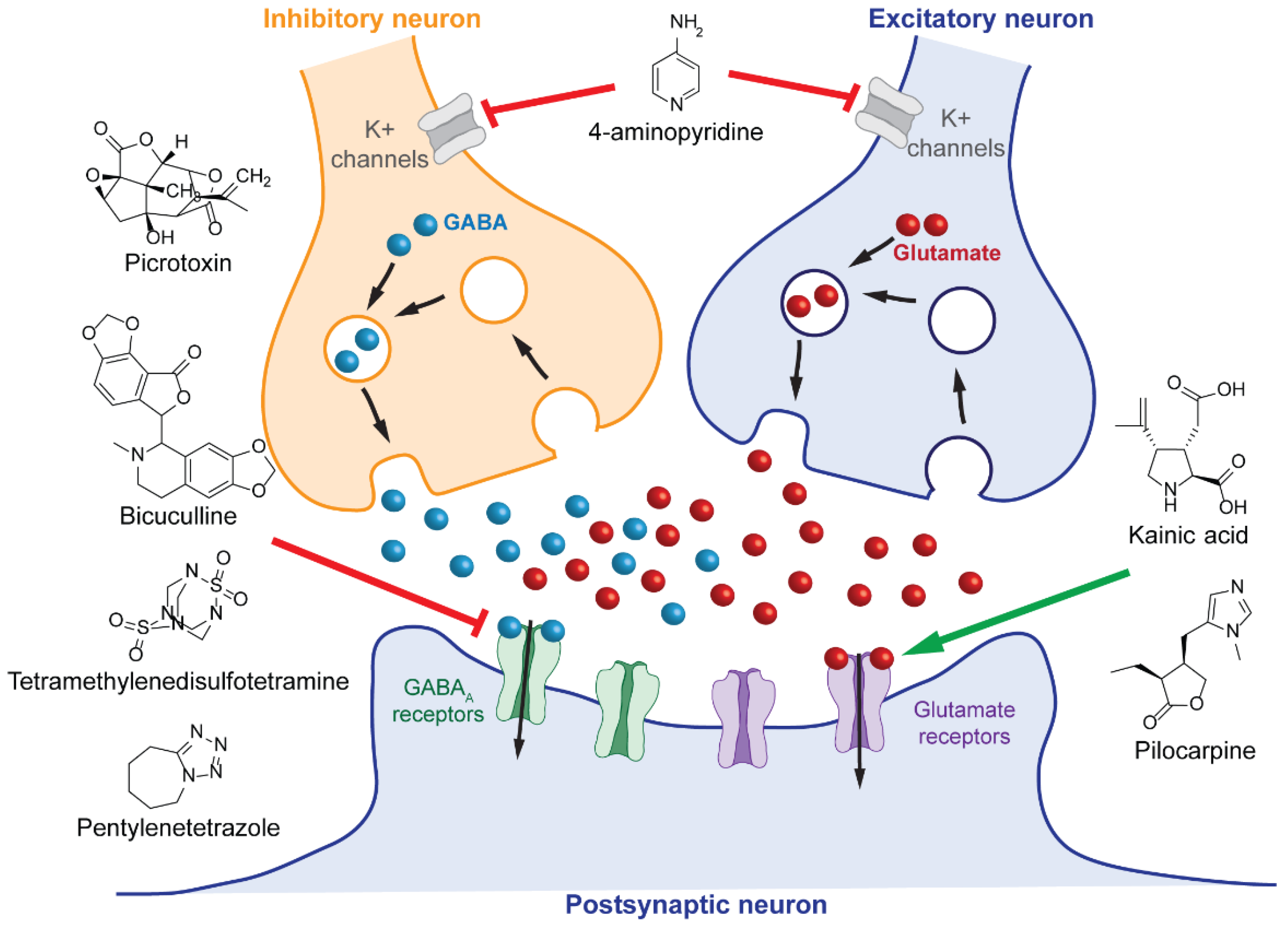 Ijms 23 08608 g002 Ijms 23 08608 g002
