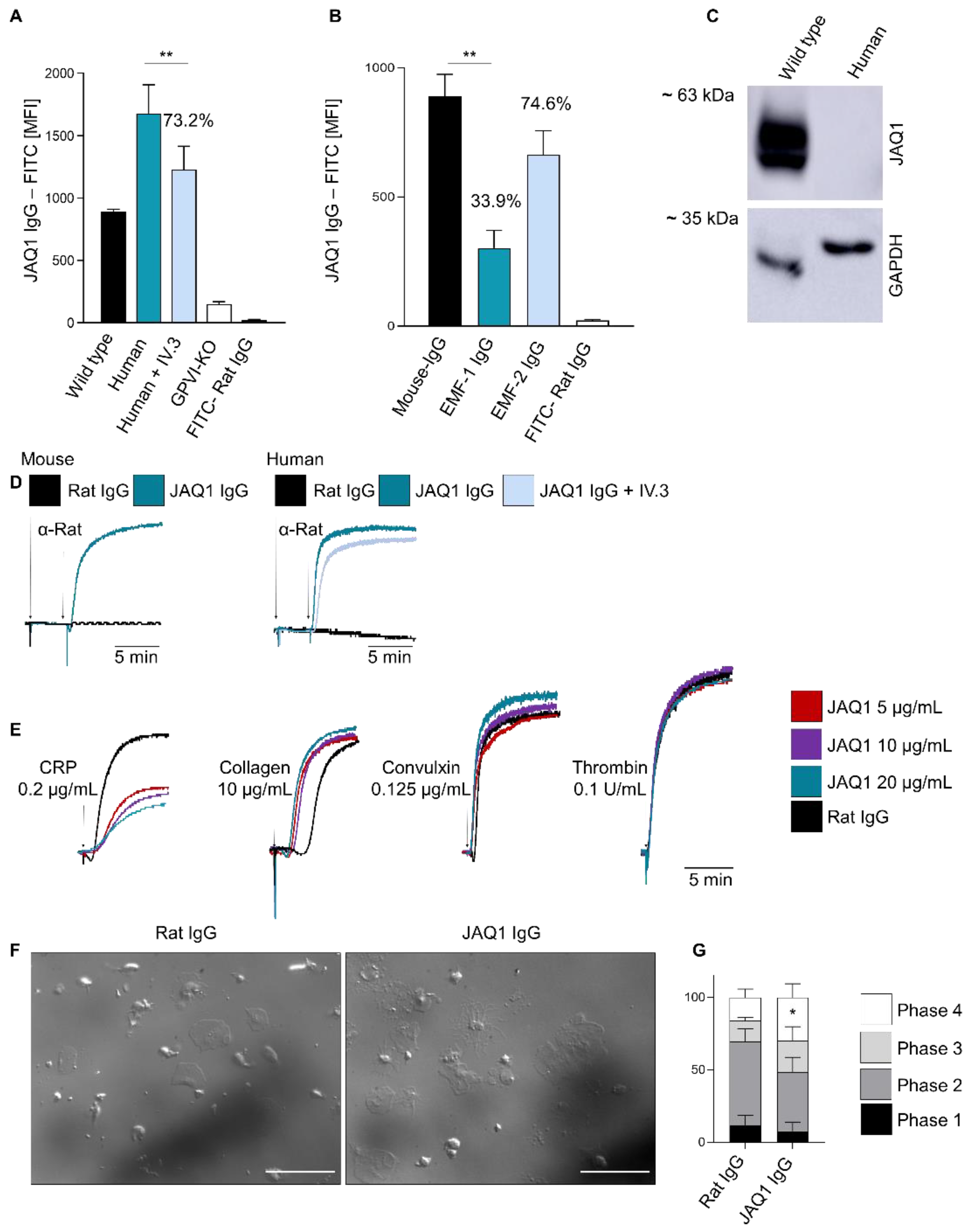 Ijms 23 08610 g001 Ijms 23 08610 g001