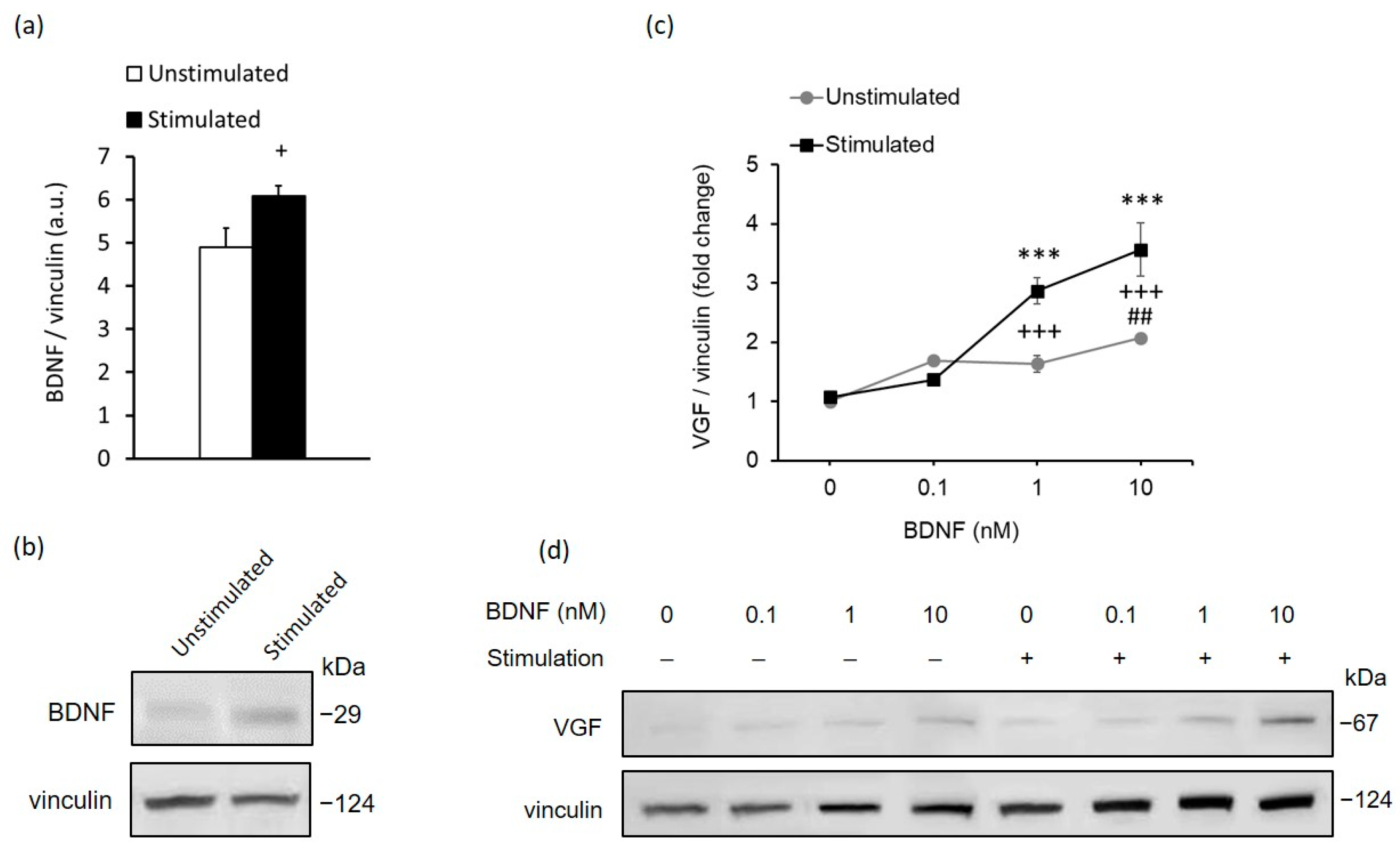 Ijms 23 08615 g003 Ijms 23 08615 g003