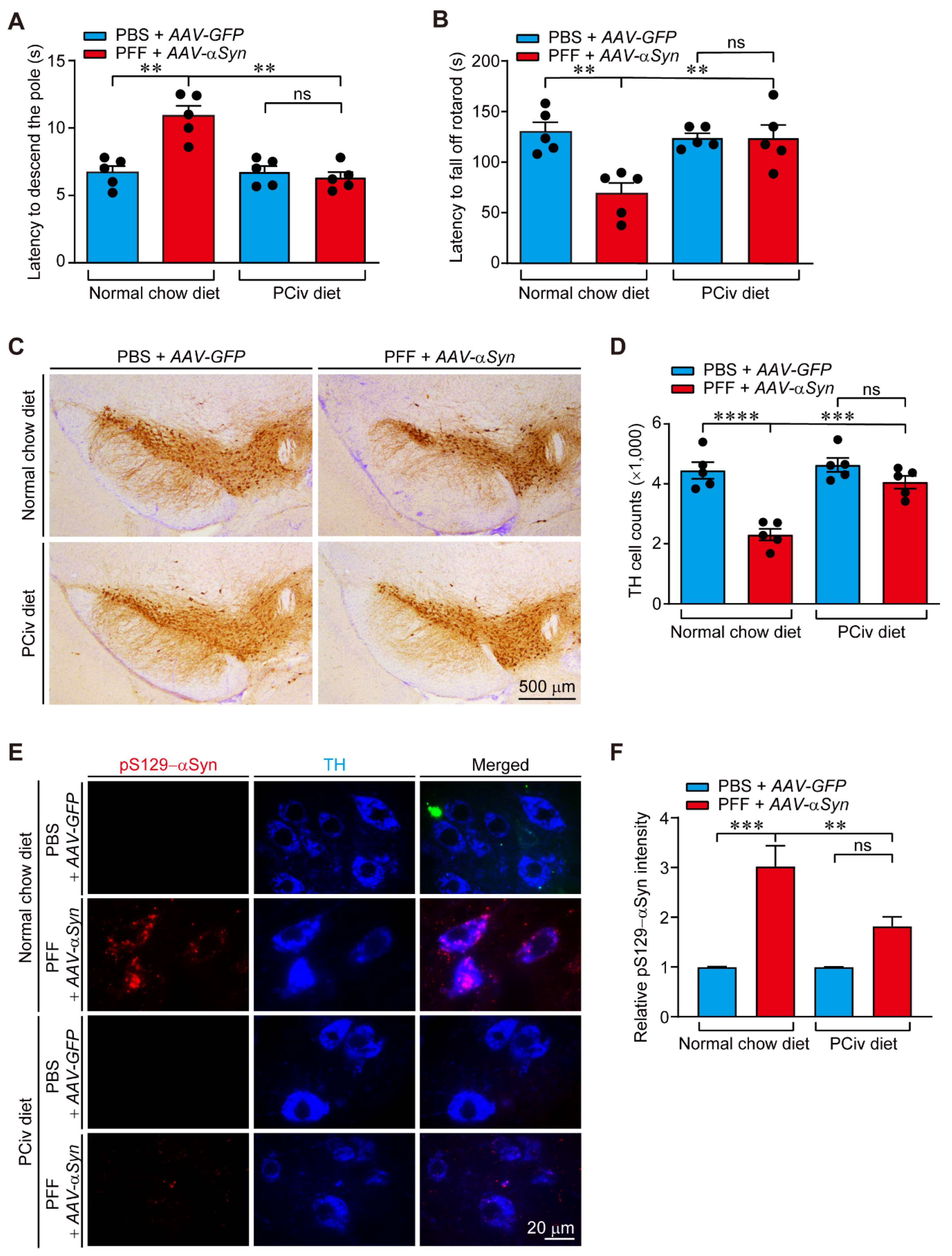 Ijms 23 08618 g004 550