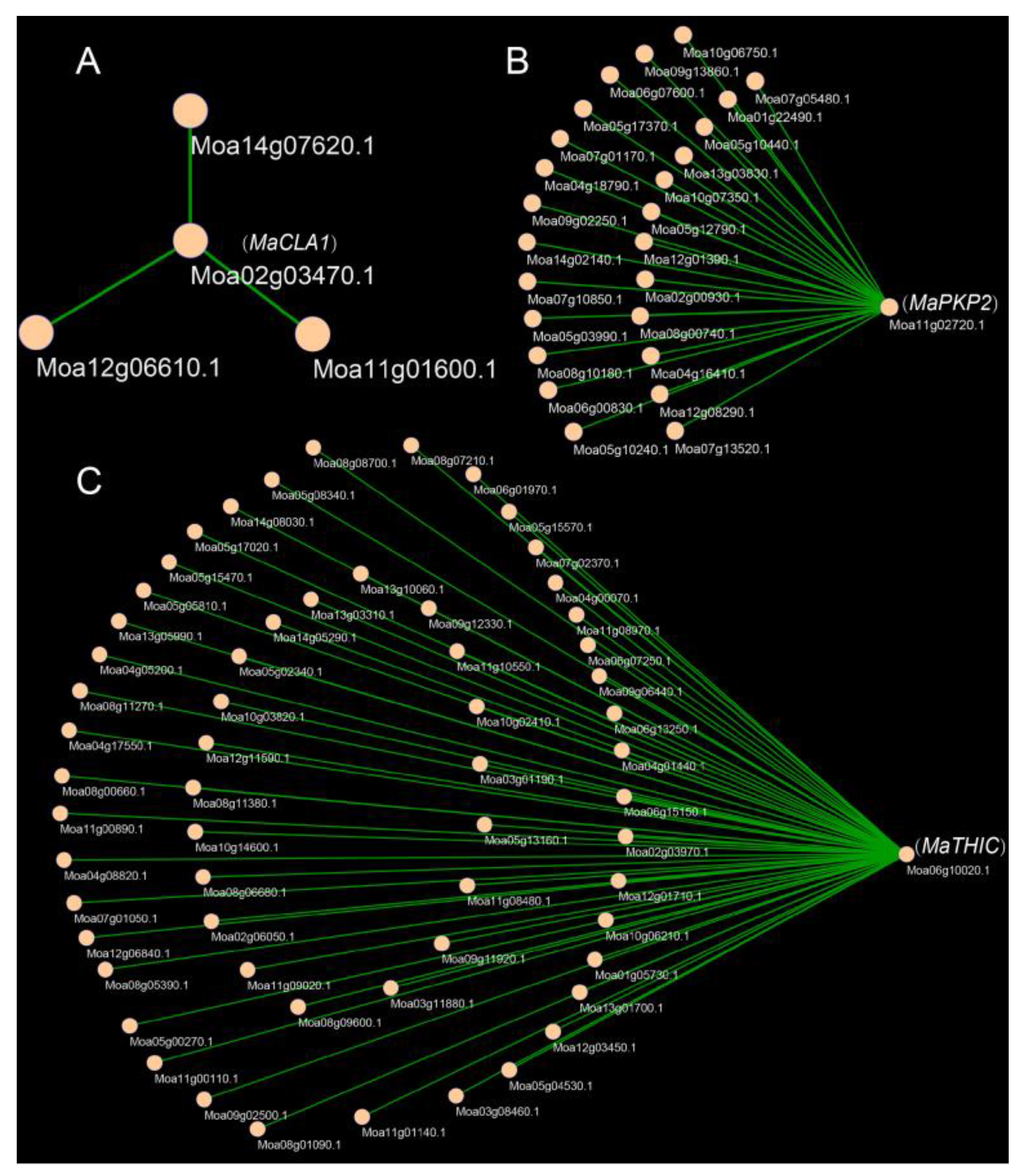 Ijms 23 08620 g006 Ijms 23 08620 g006